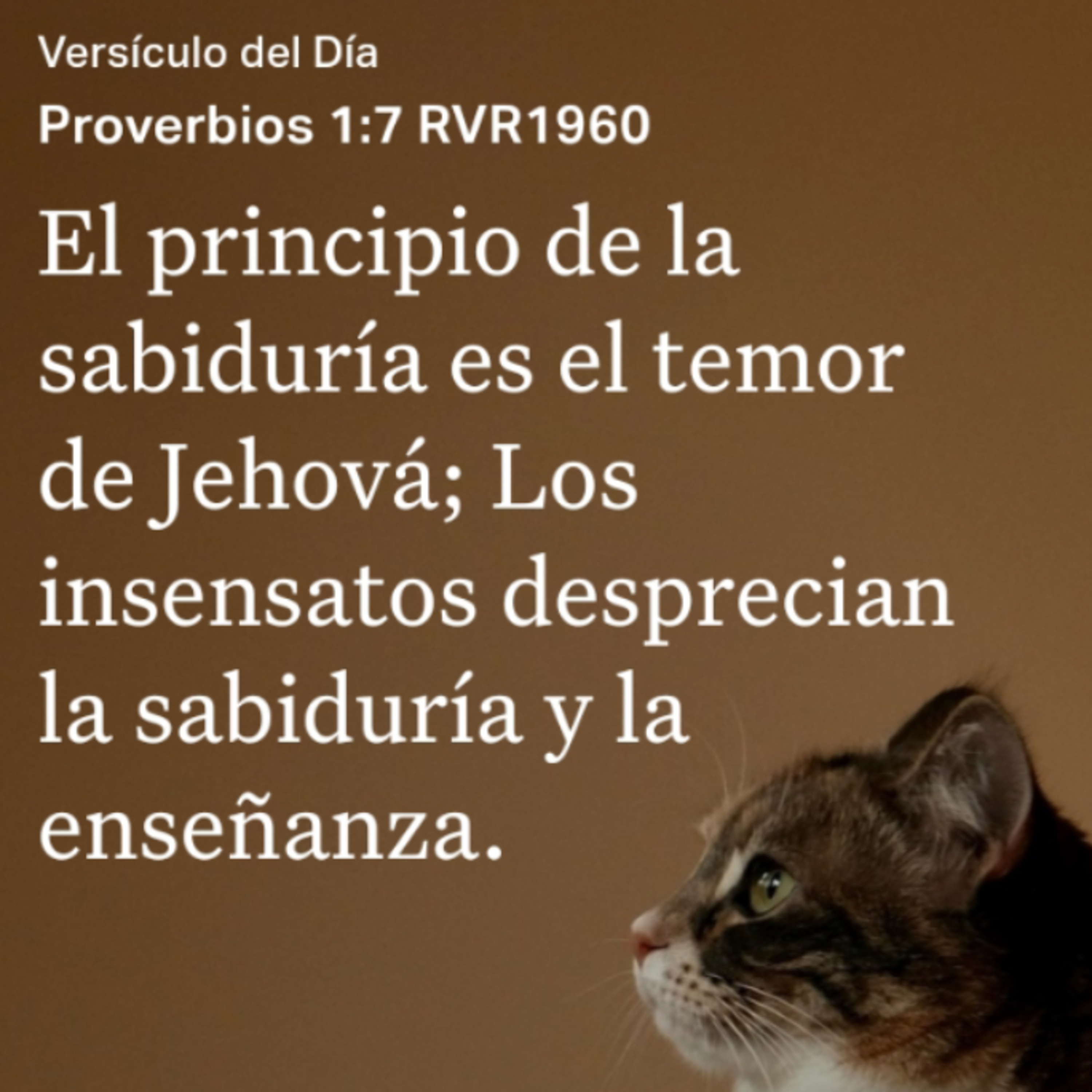Un Versículo al Día y Algo Más