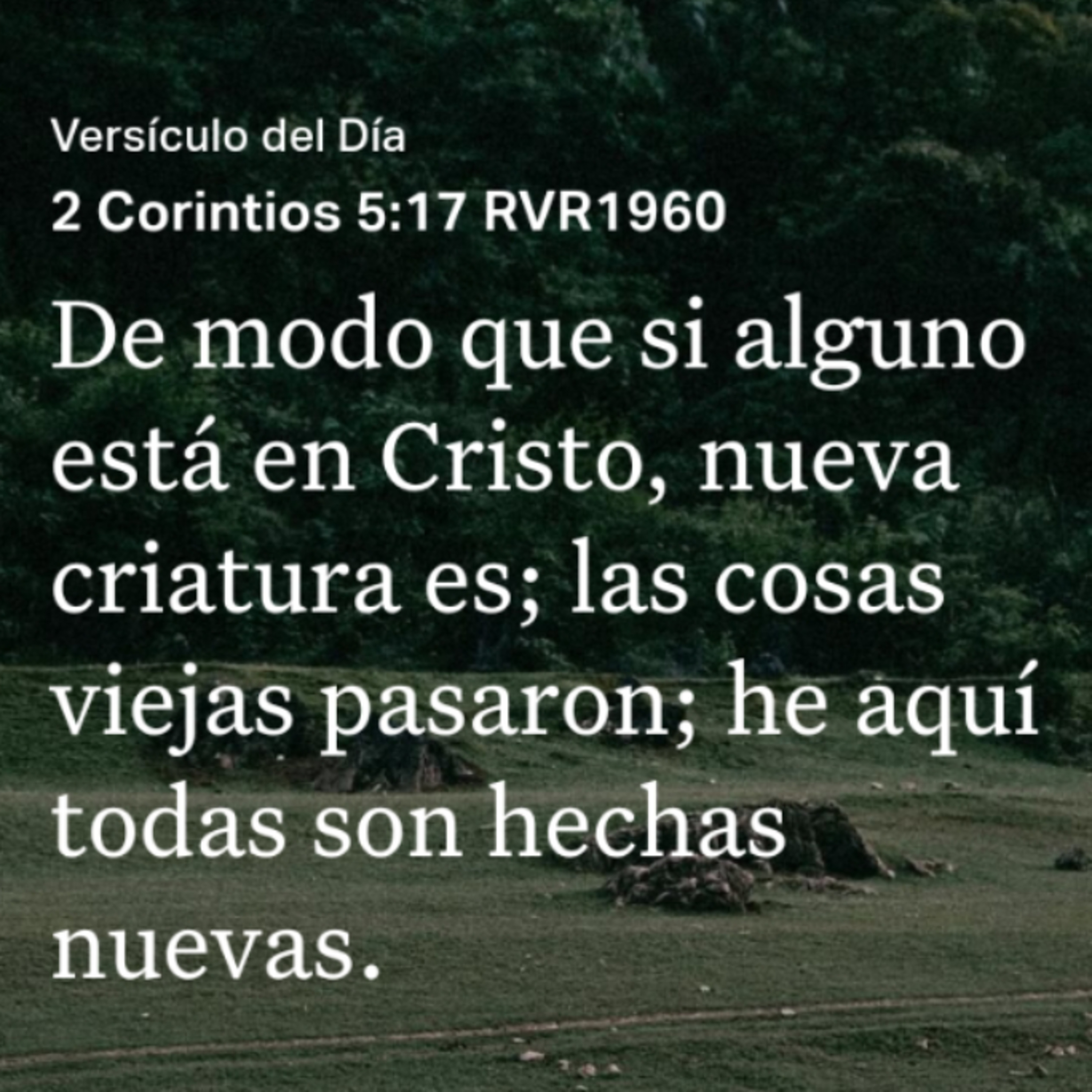 Un Versículo al Día y Algo Más