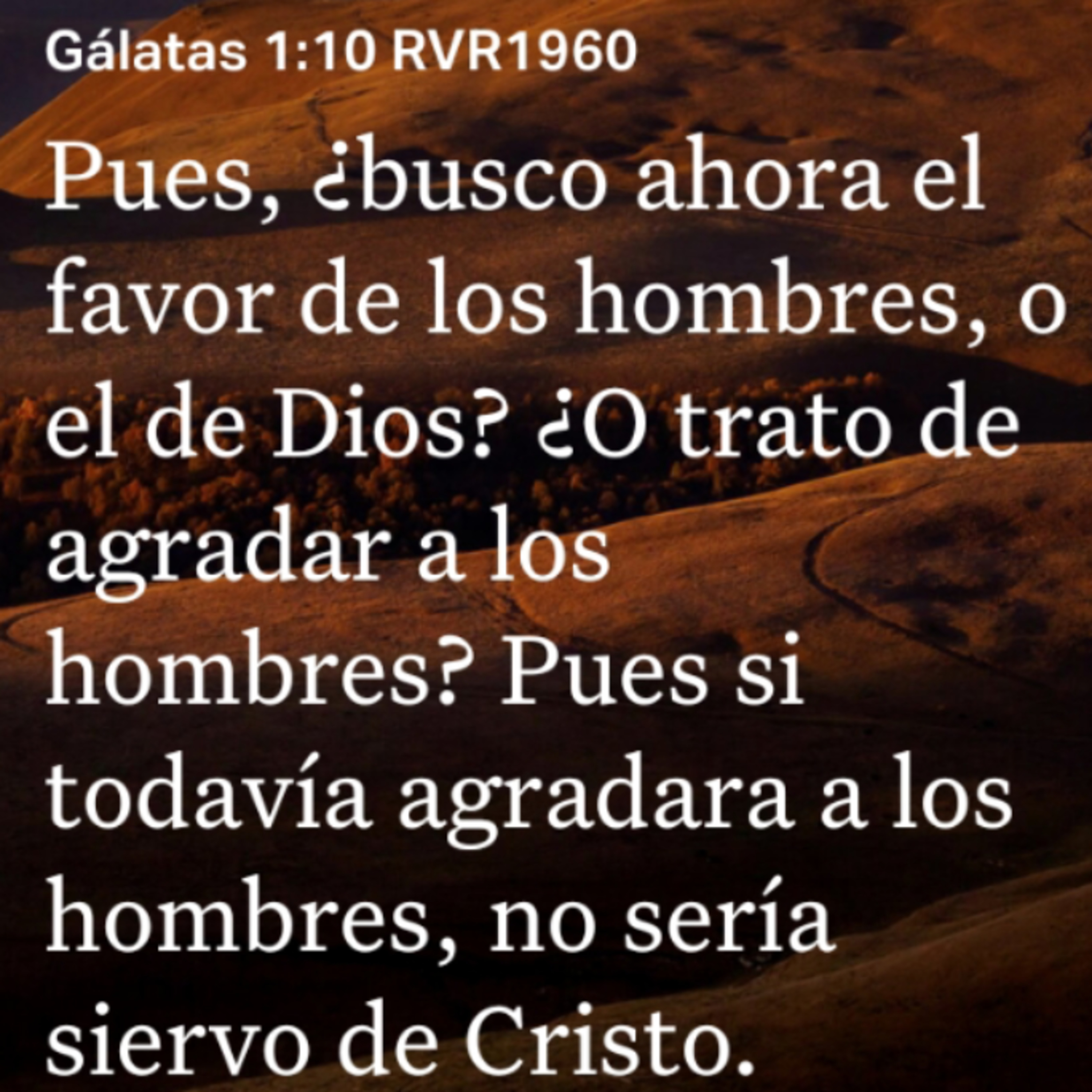 Un Versículo al Día y Algo Más