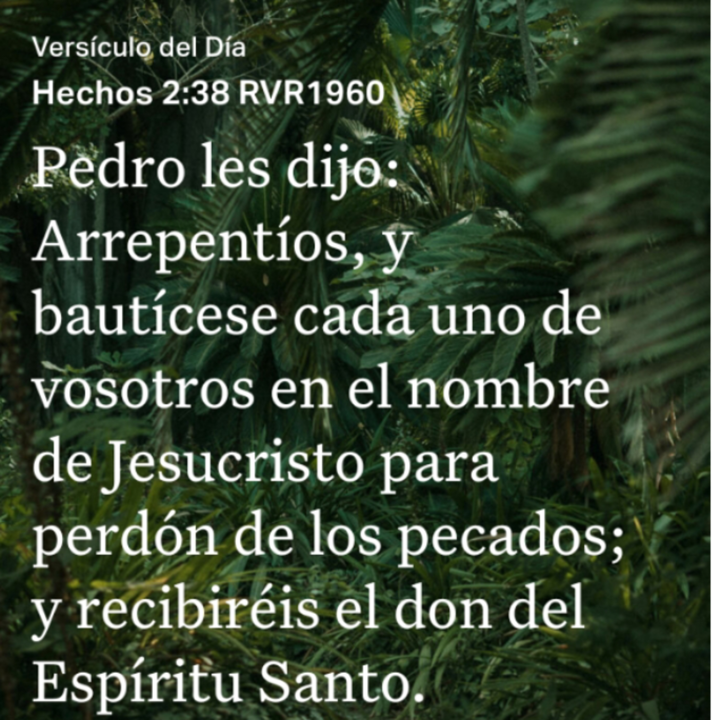 Un Versículo al Día y Algo Más