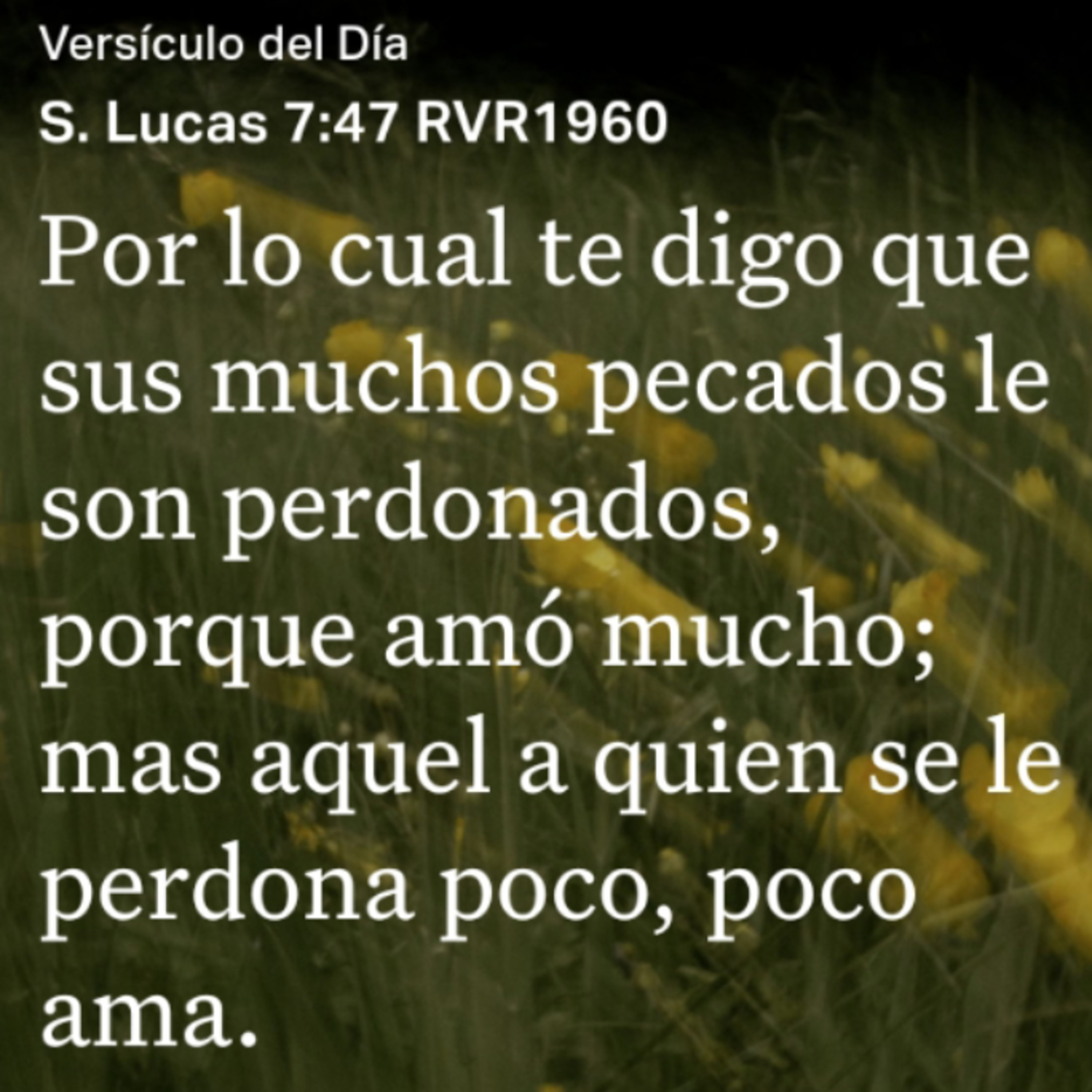 Un Versículo al Día y Algo Más