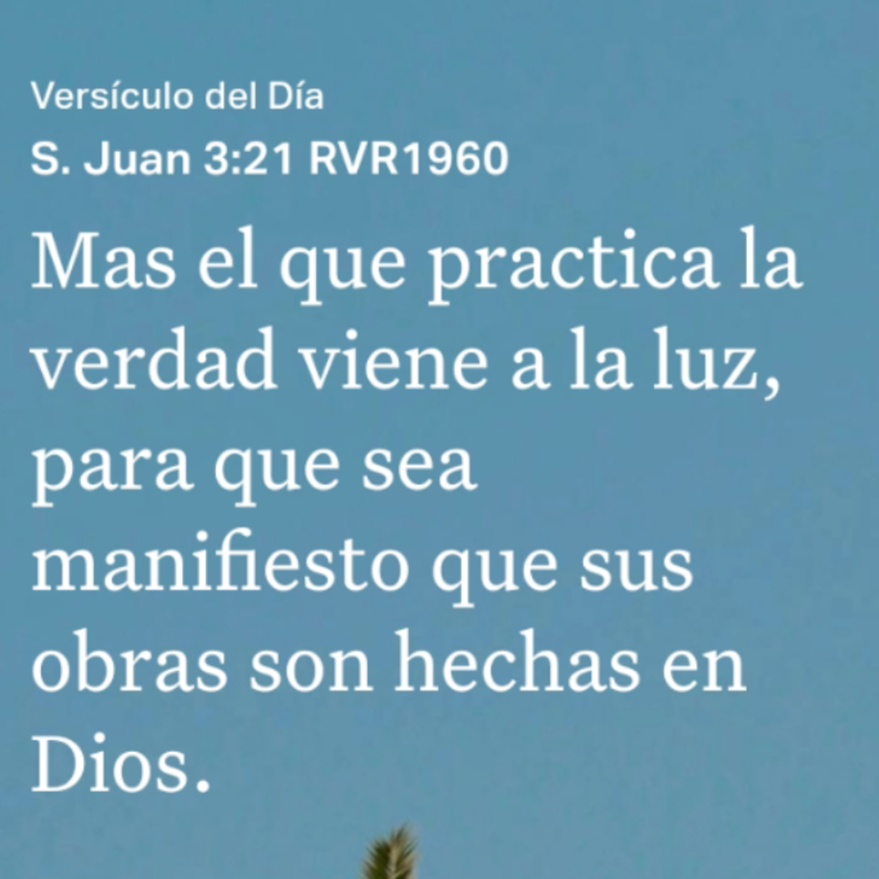 Un Versículo al Día y Algo Más