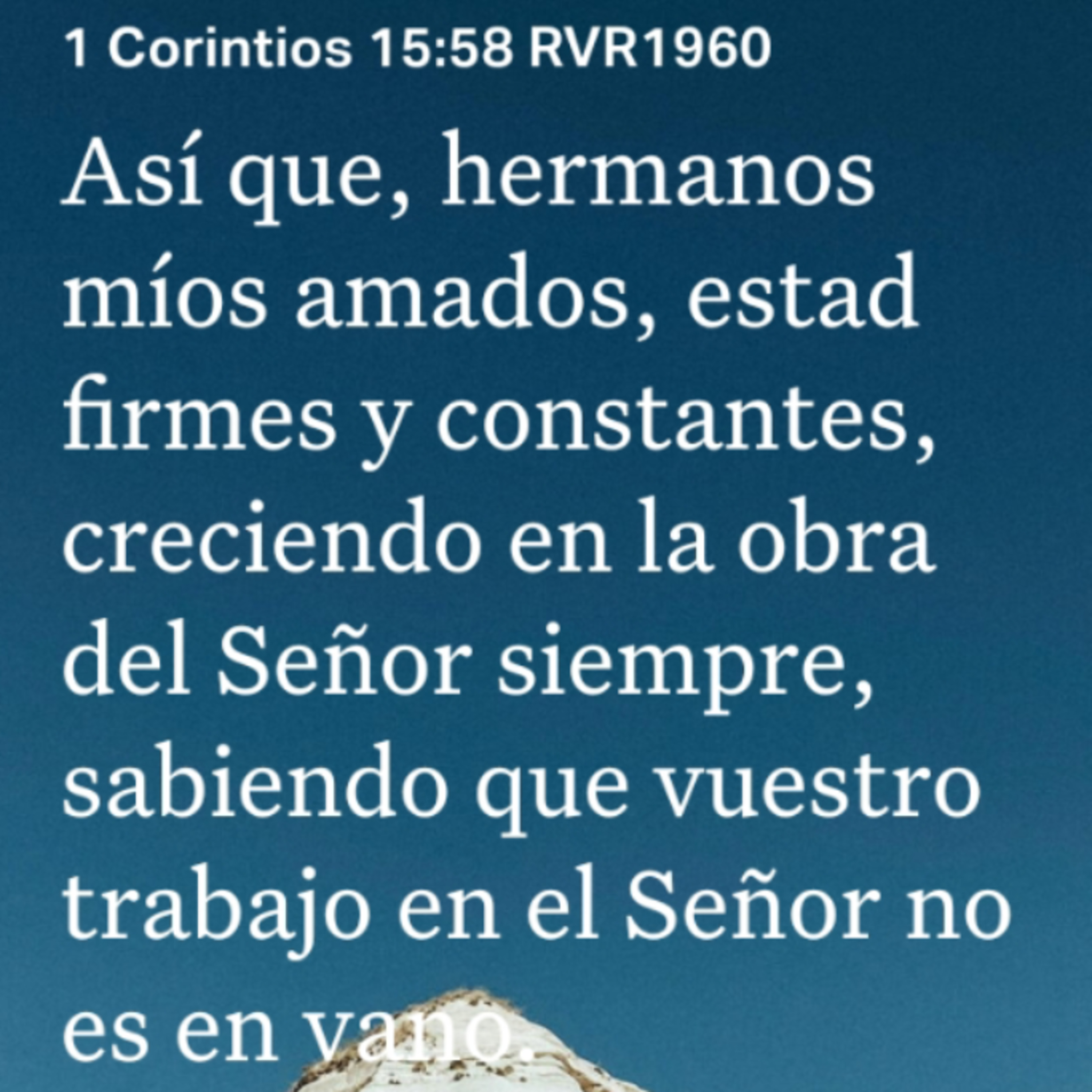 Un Versículo al Día y Algo Más