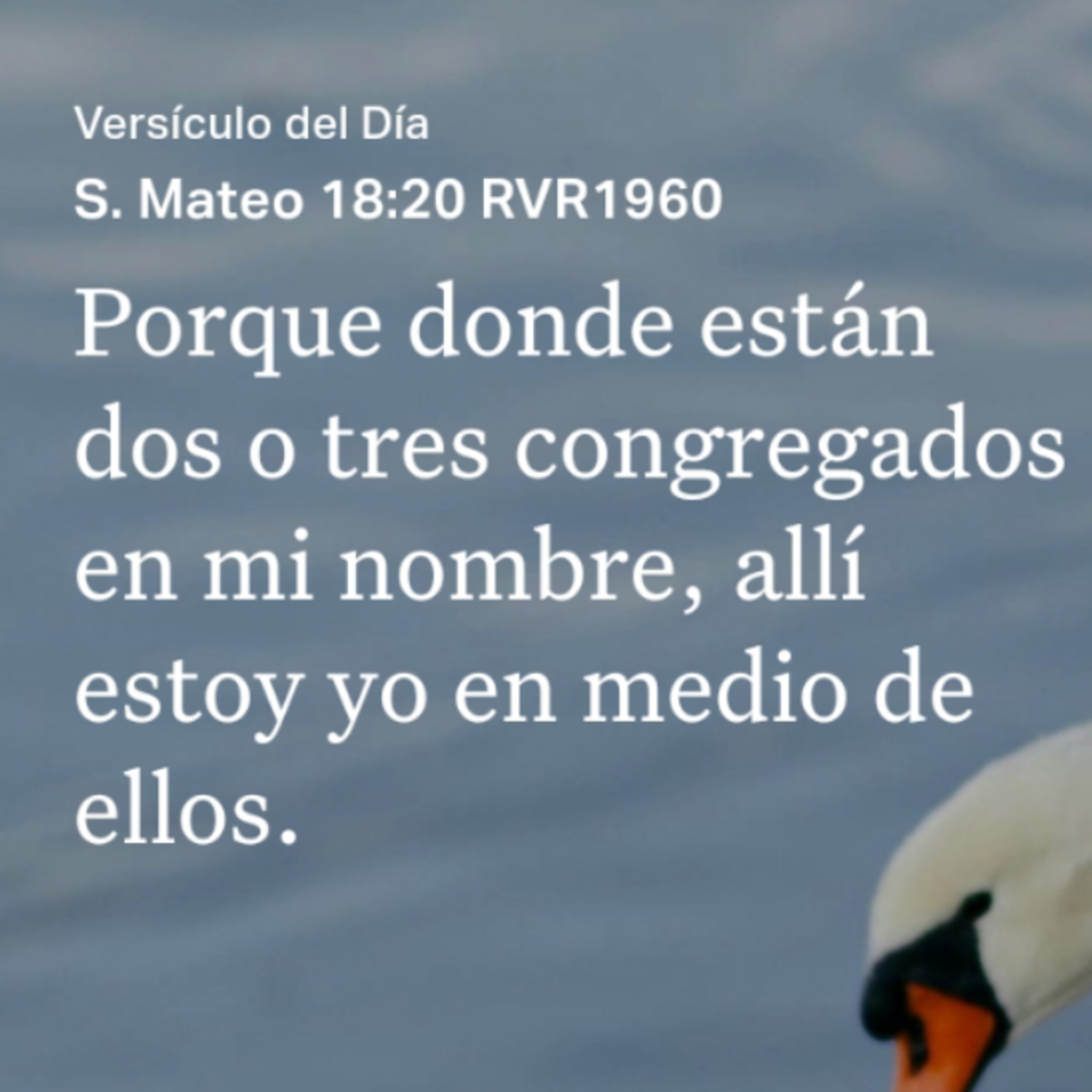 Un Versículo al Día y Algo Más