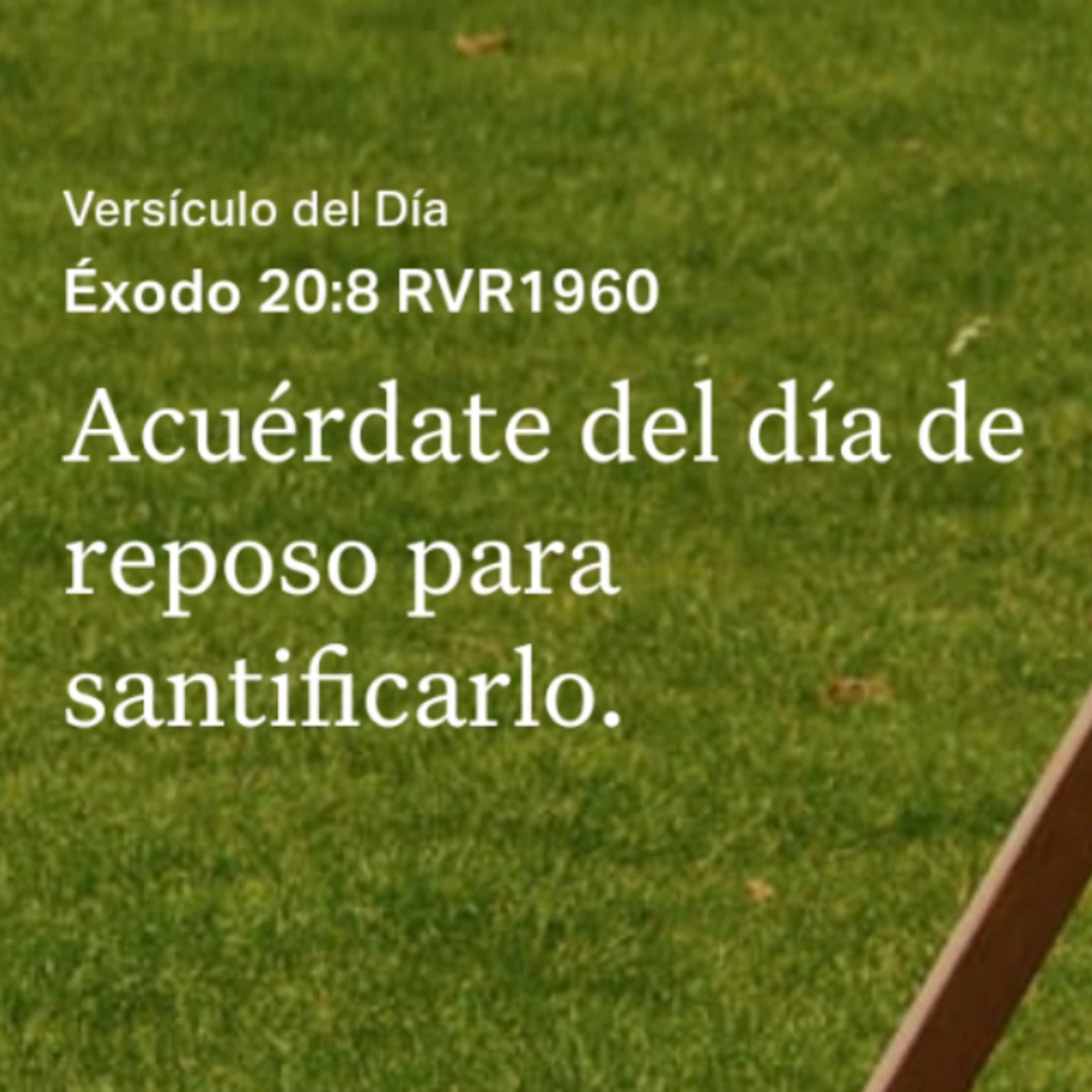 Un Versículo al Día y Algo Más