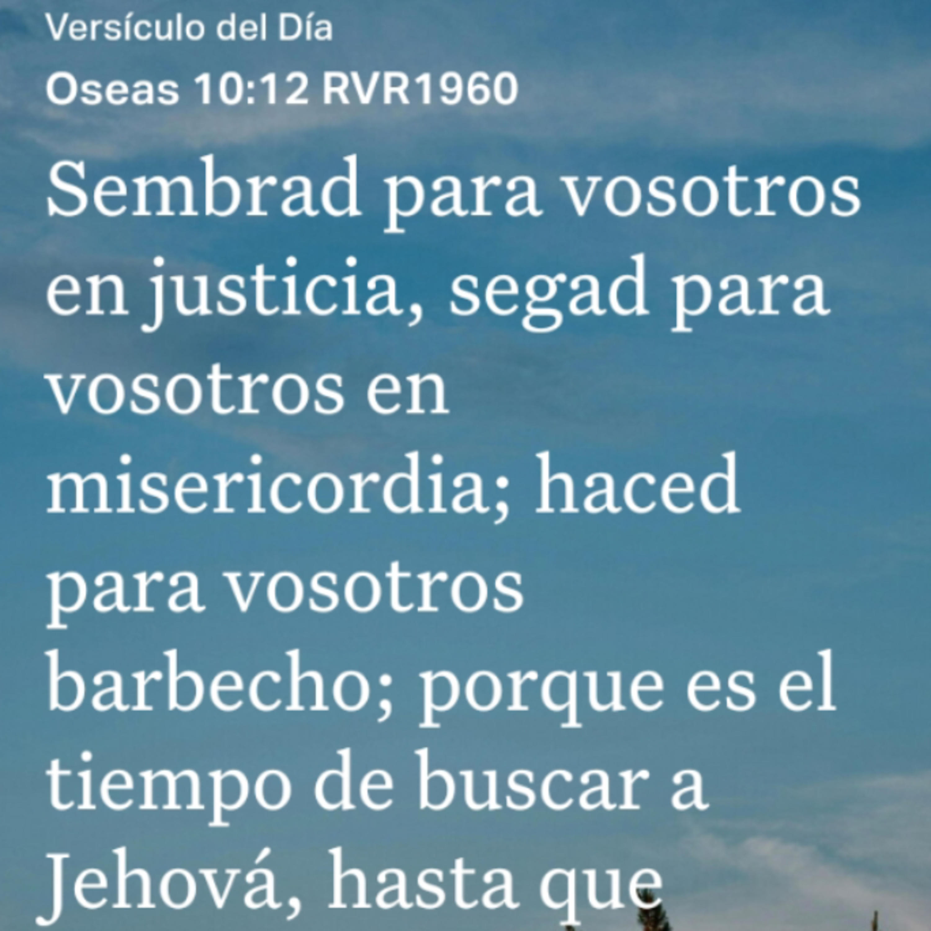 Un Versículo al Día y Algo Más