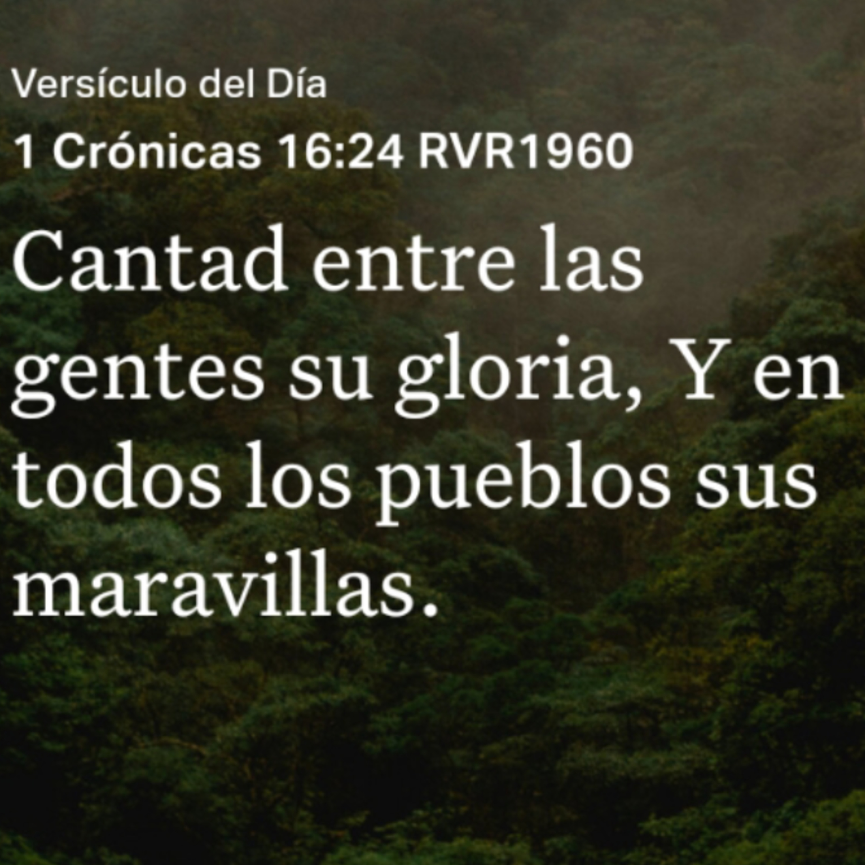 Un Versículo al Día y Algo Más