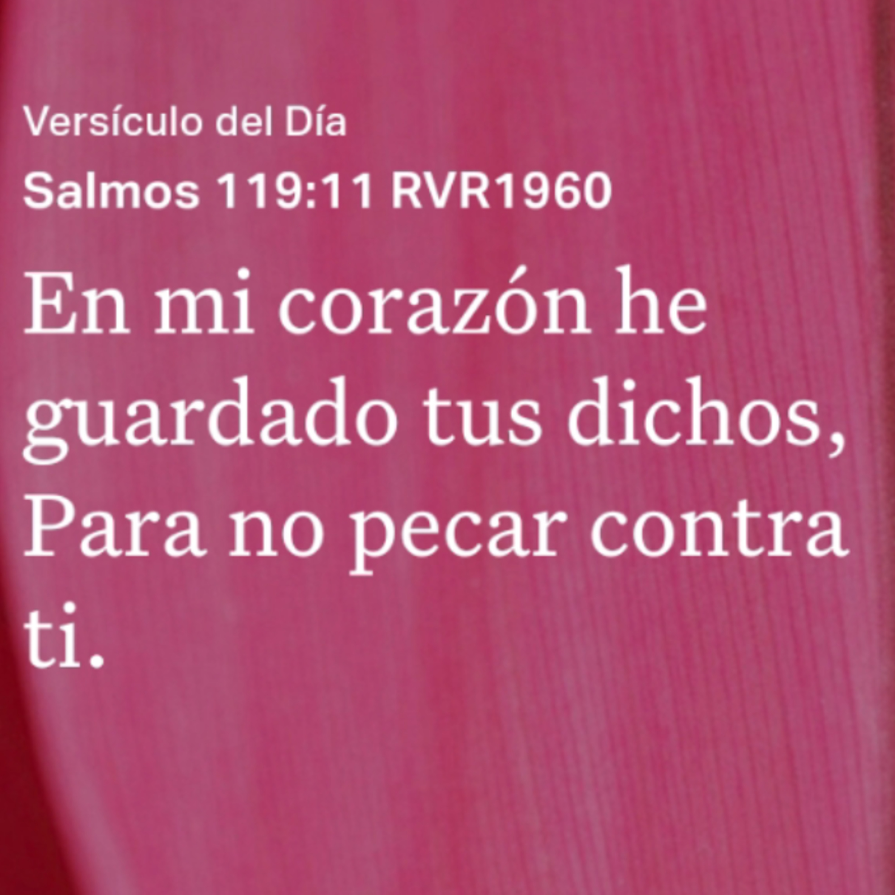 Un Versículo al Día y Algo Más