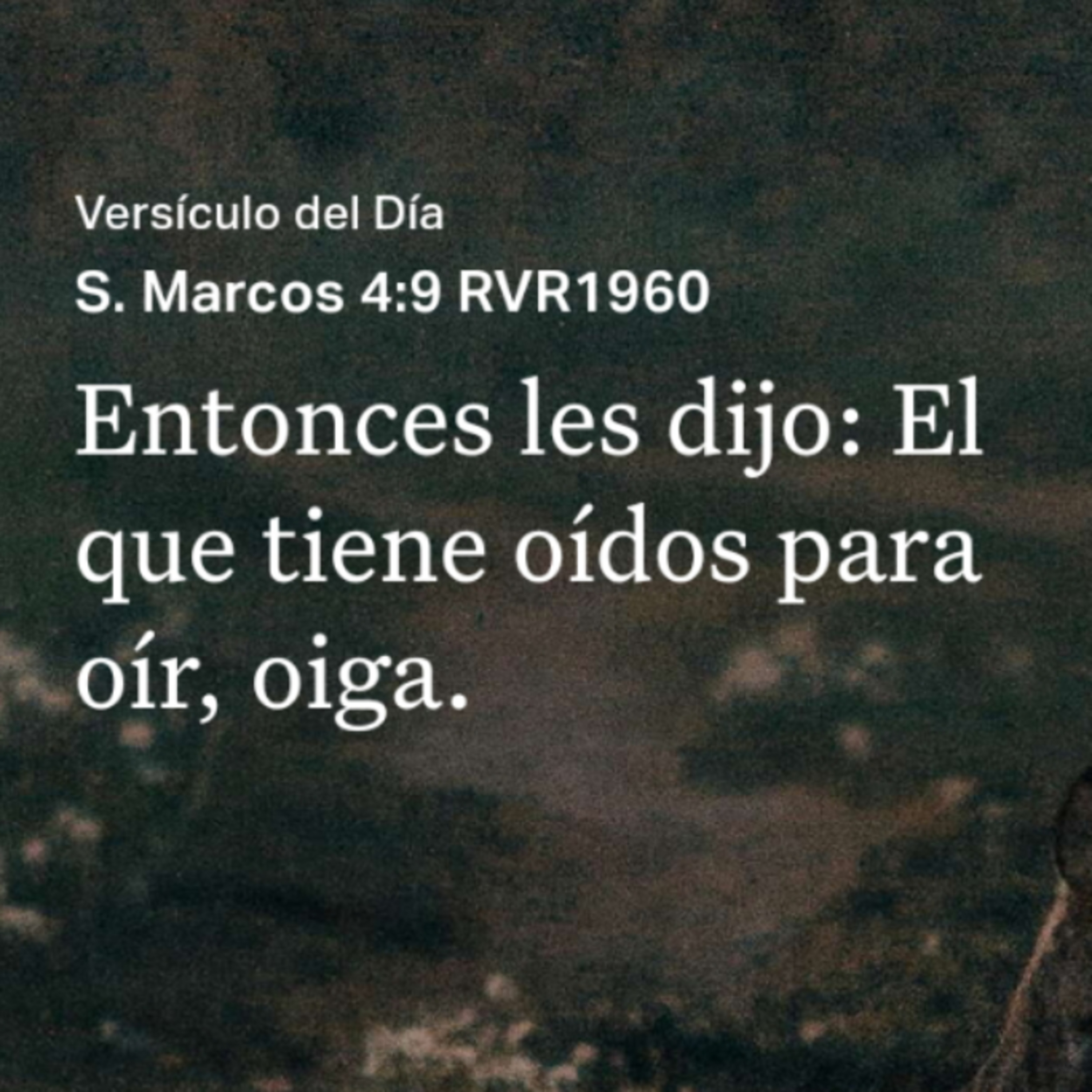 Un Versículo al Día y Algo Más