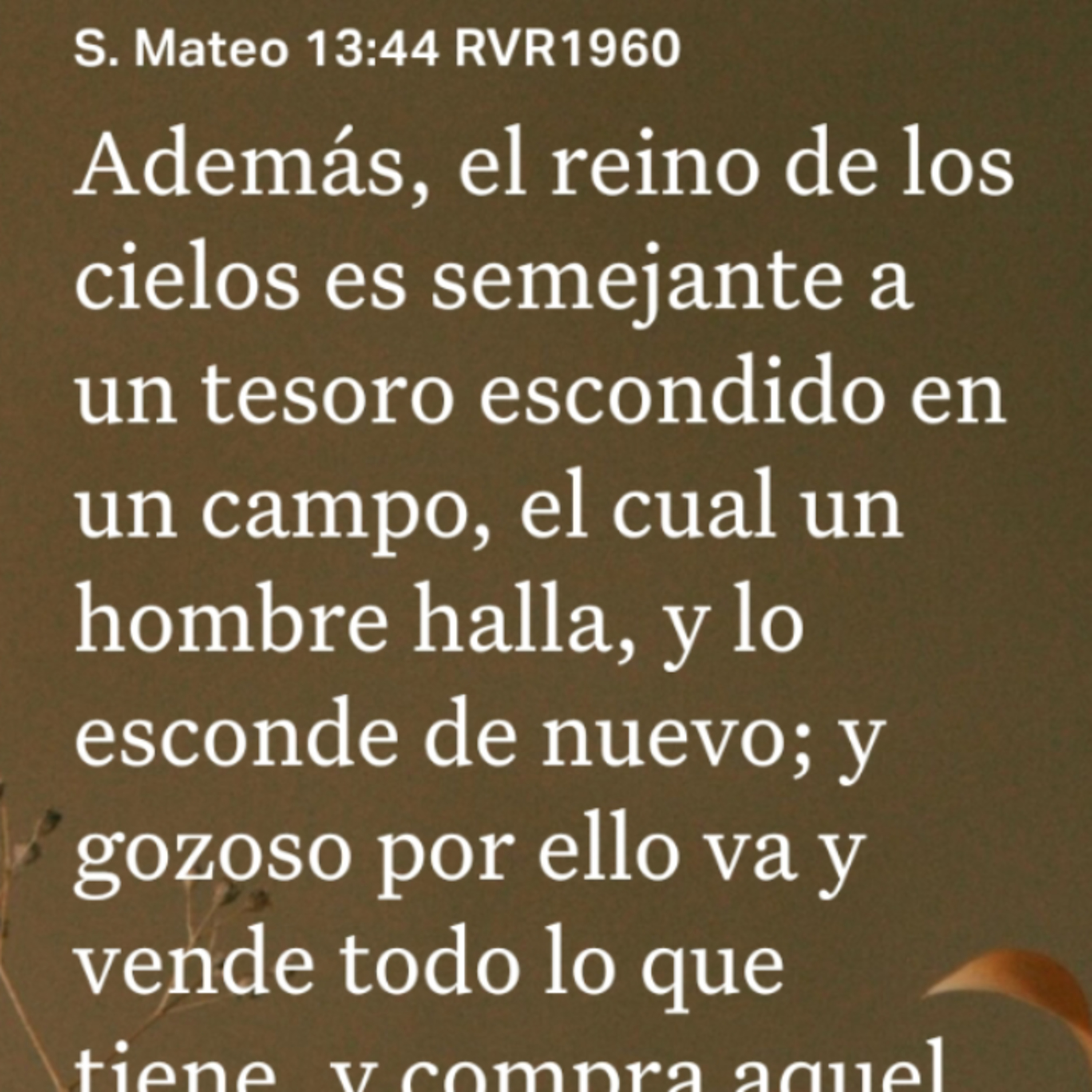 Un Versículo al Día y Algo Más