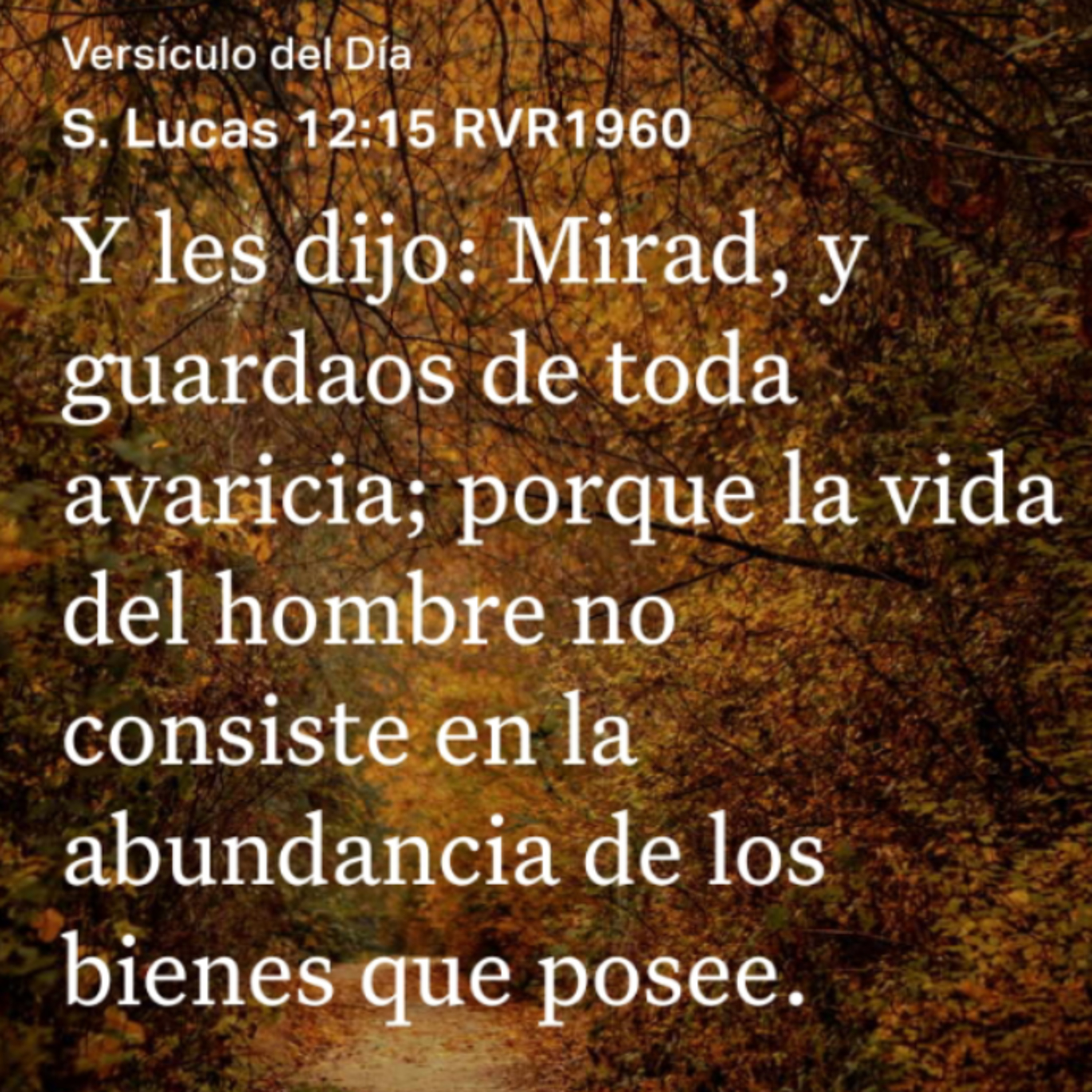 Un Versículo al Día y Algo Más