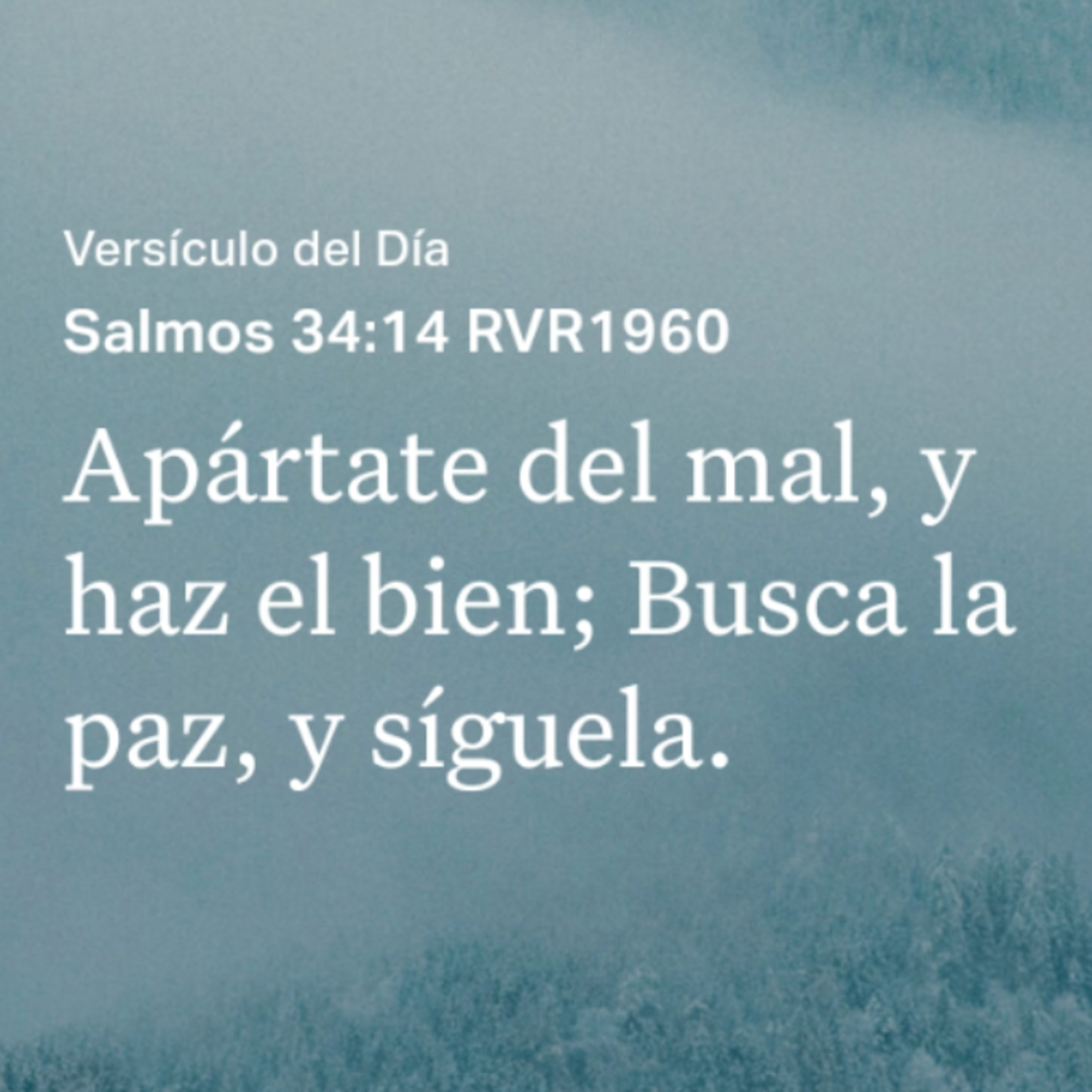 Un Versículo al Día y Algo Más