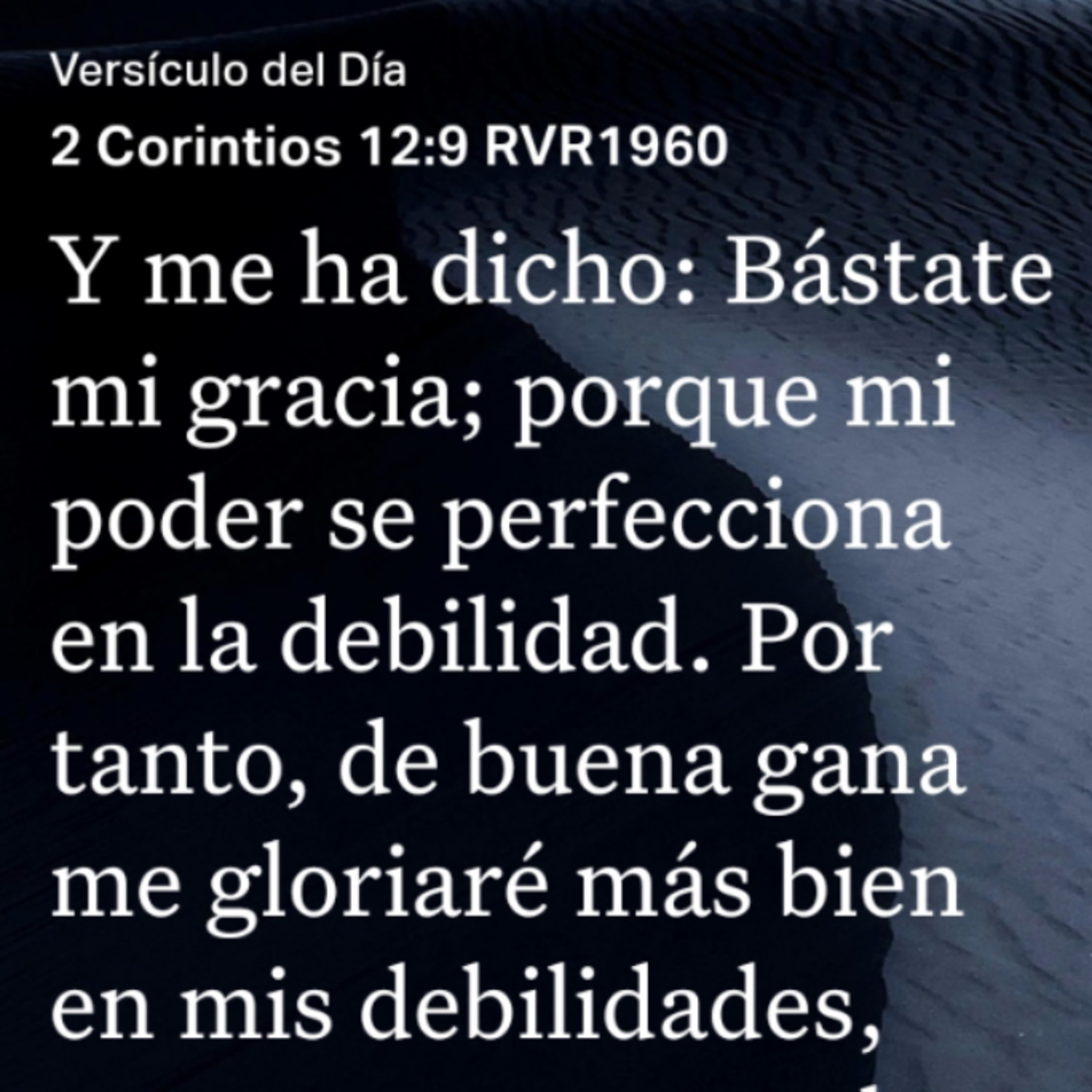 Un Versículo al Día y Algo Más