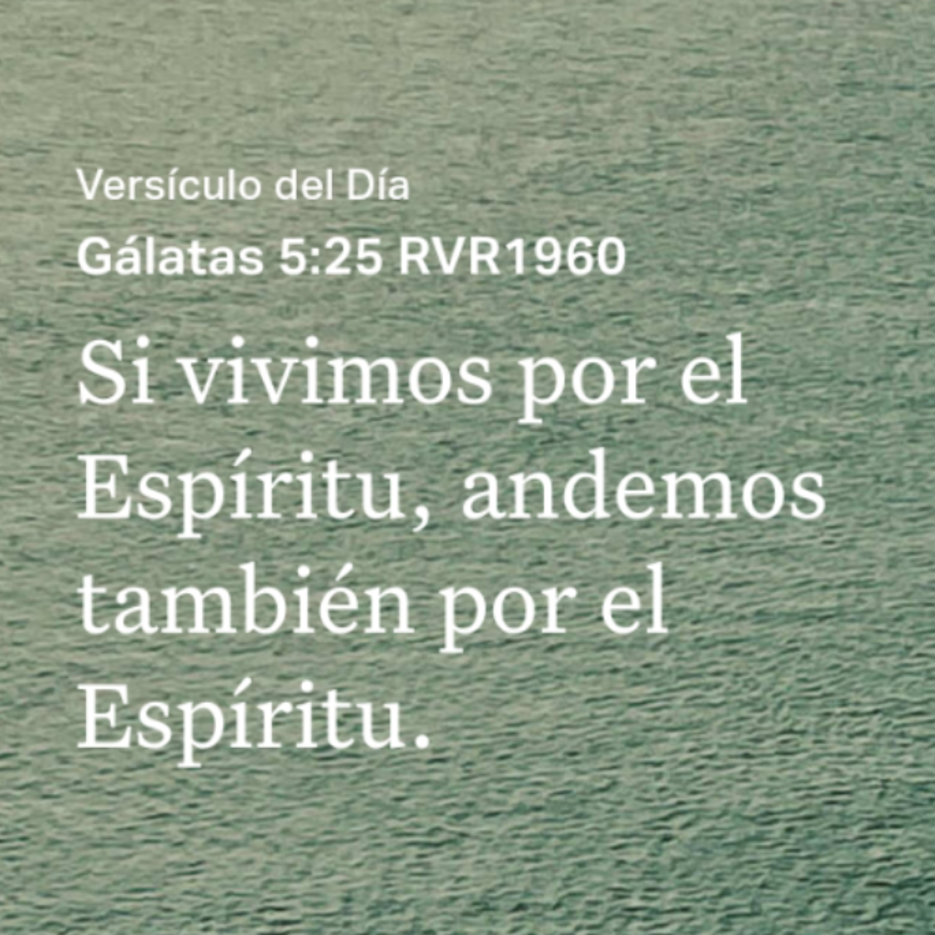 Un Versículo al Día y Algo Más