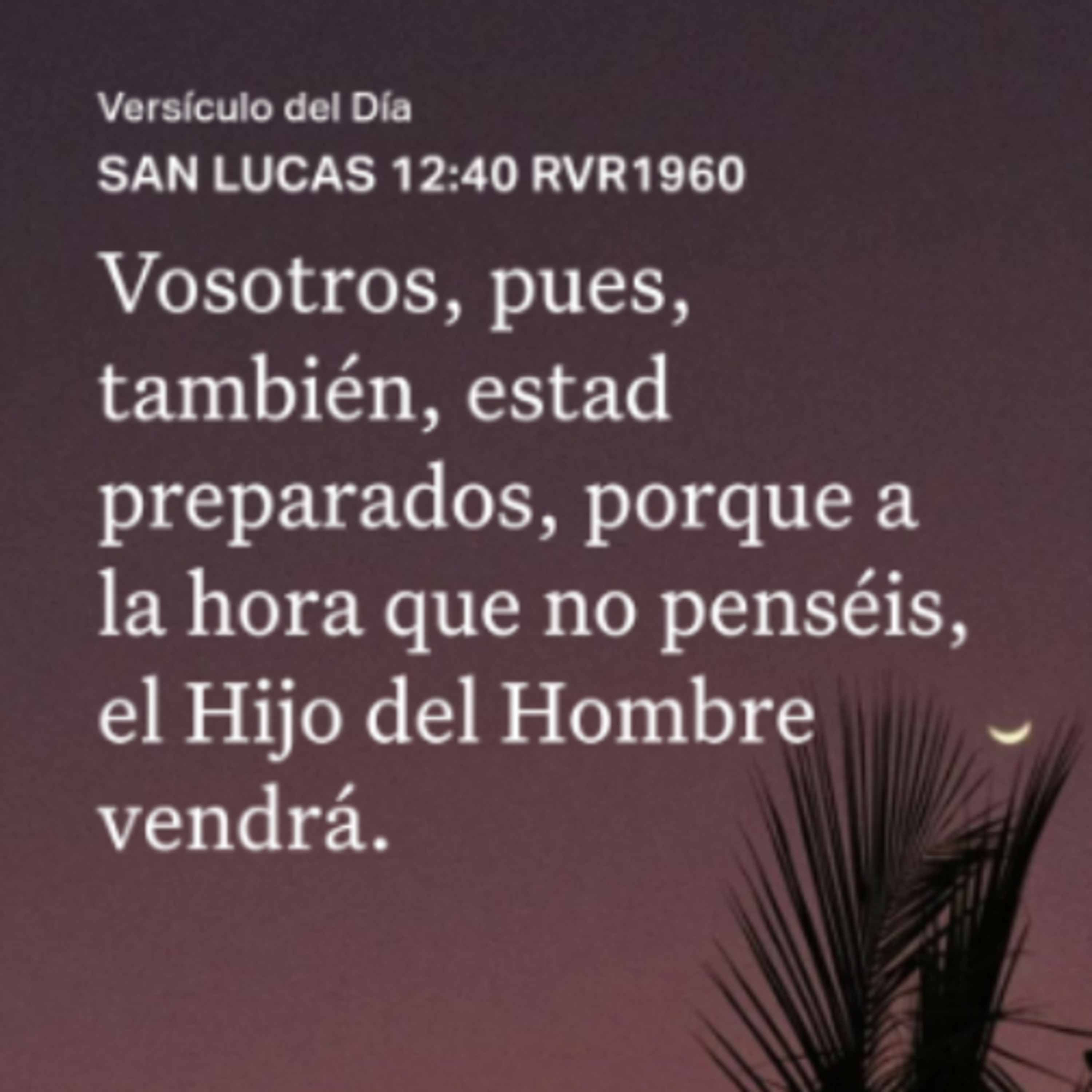 Un Versículo al Día y Algo Más