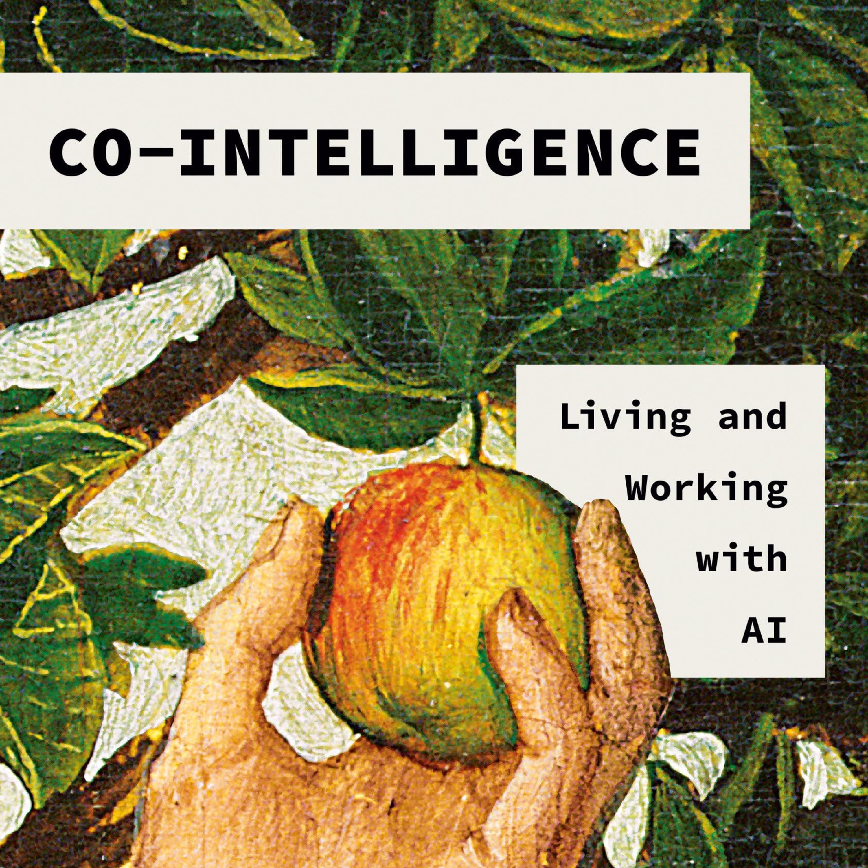 Branches of Philosophy Podcast