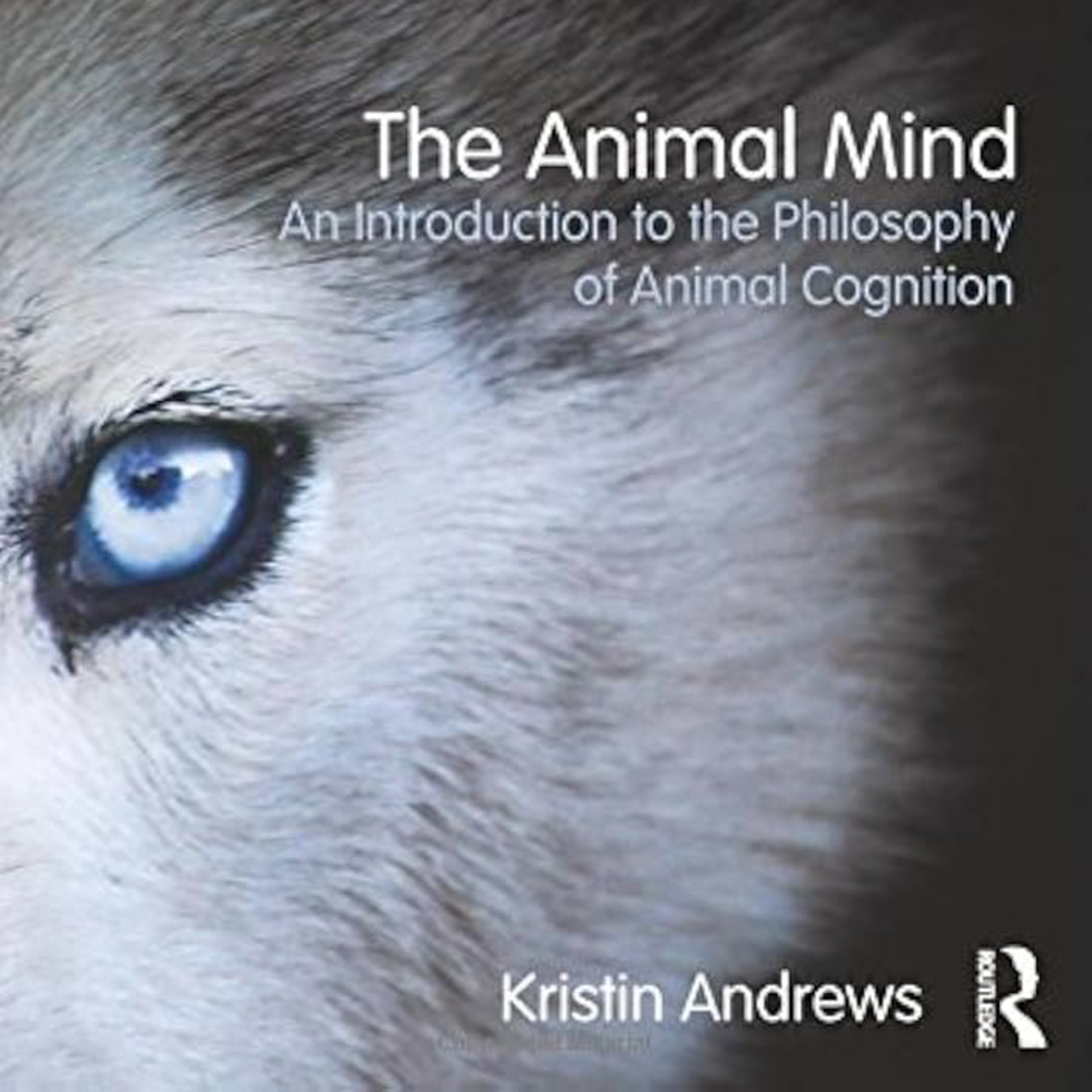Branches of Philosophy Podcast