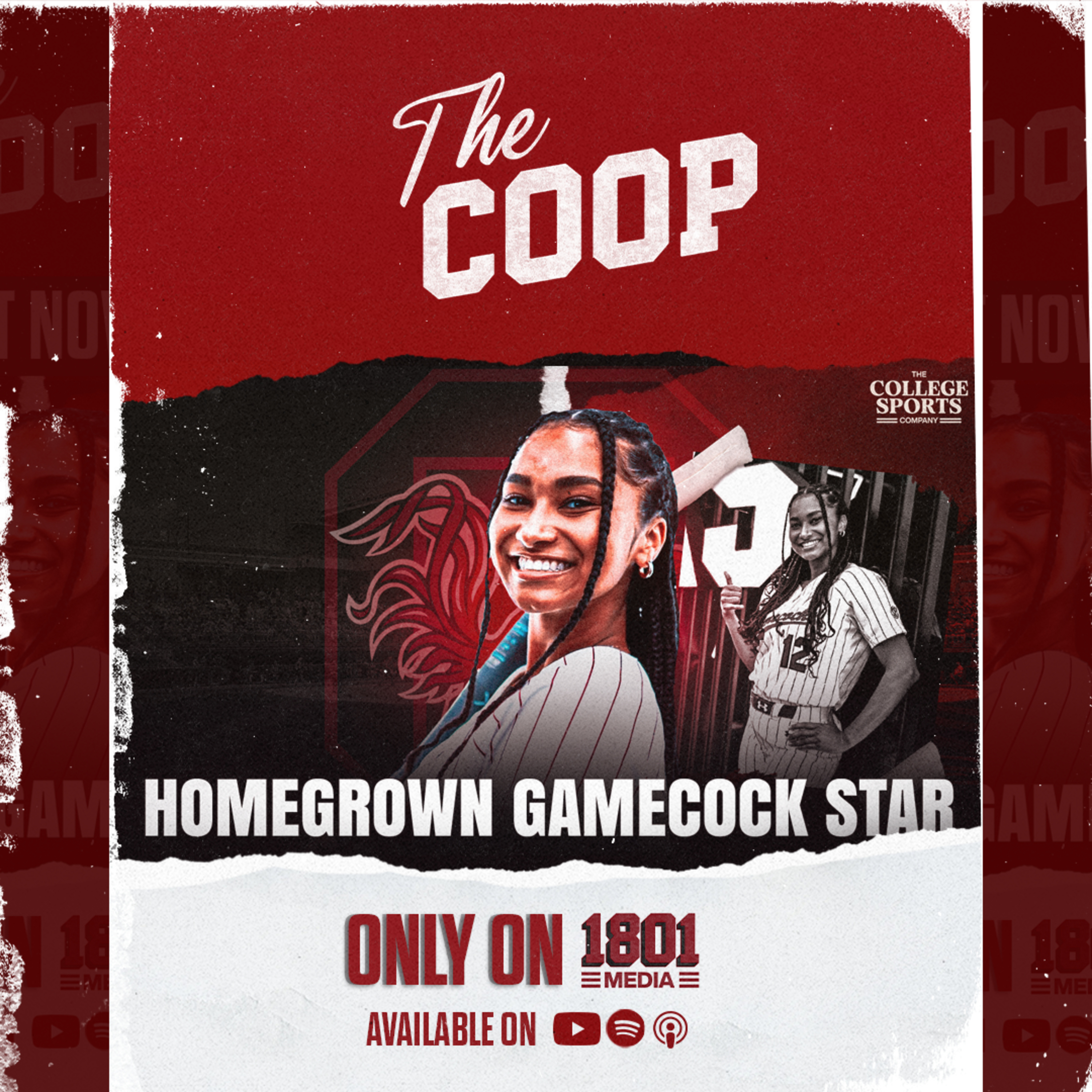 Why Playing for the Gamecocks Means EVERYTHING to South Carolina Softball STAR Precious Bross! episode artwork