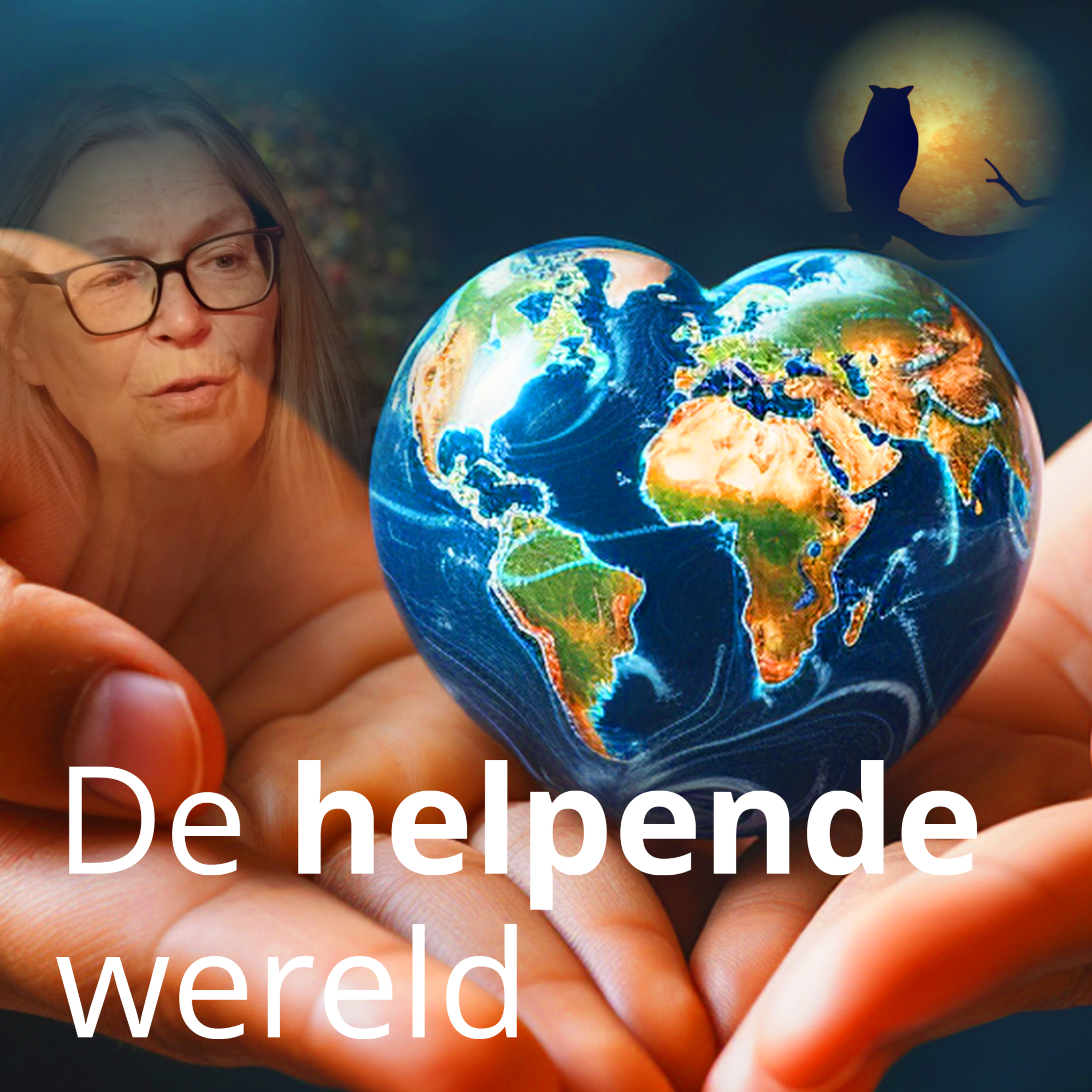 De helpende wereld episode artwork