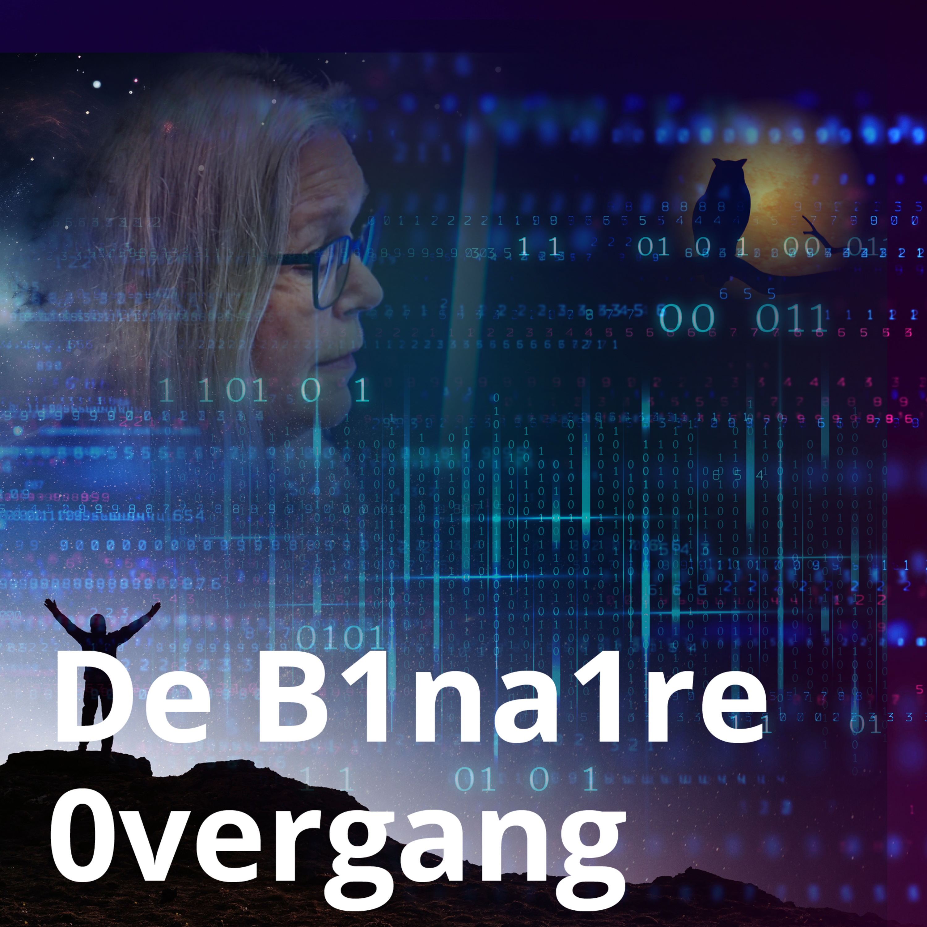 De B1na1re 0vergang episode artwork