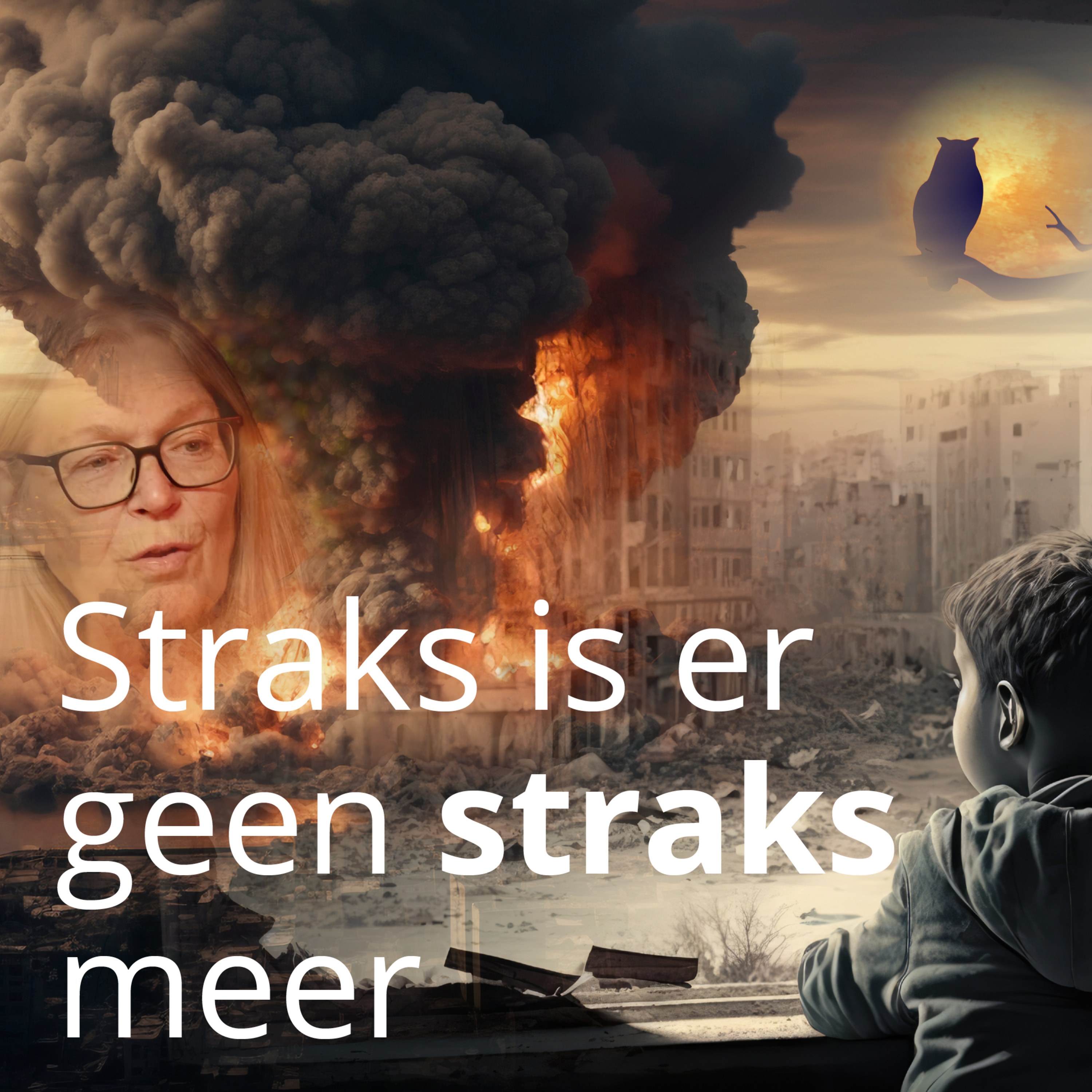 Straks is er geen straks meer episode artwork