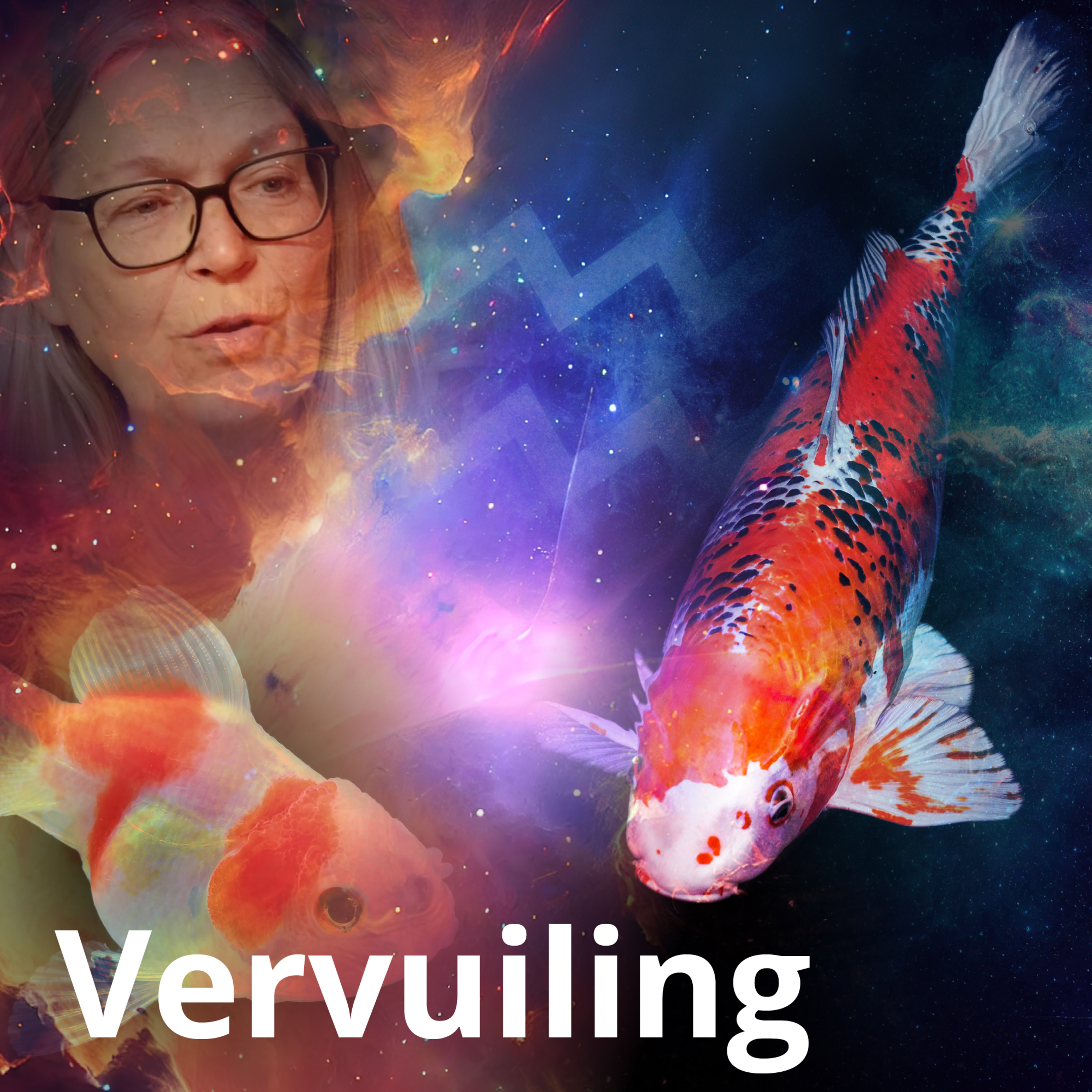 Vervuiling episode artwork