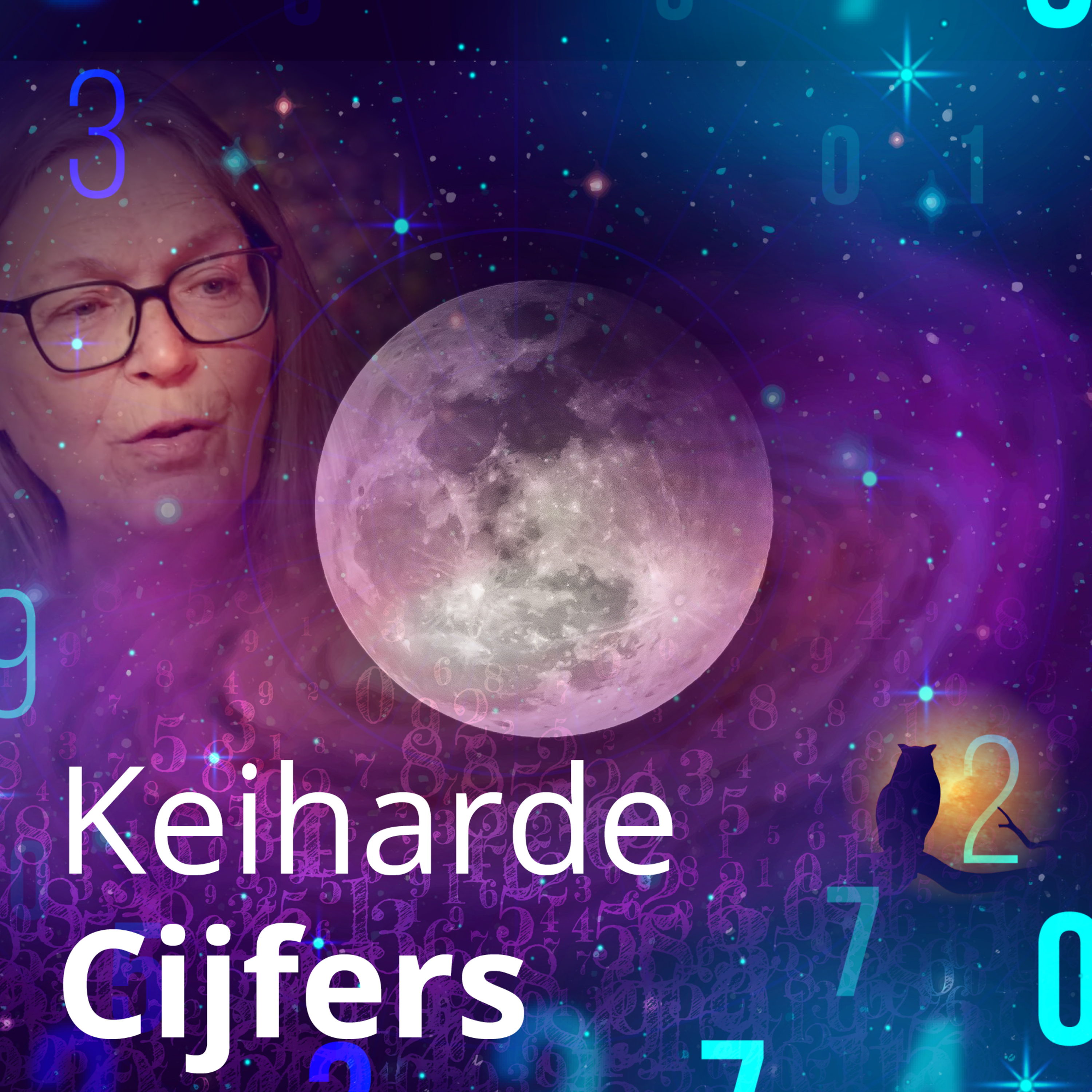 Keiharde cijfers episode artwork