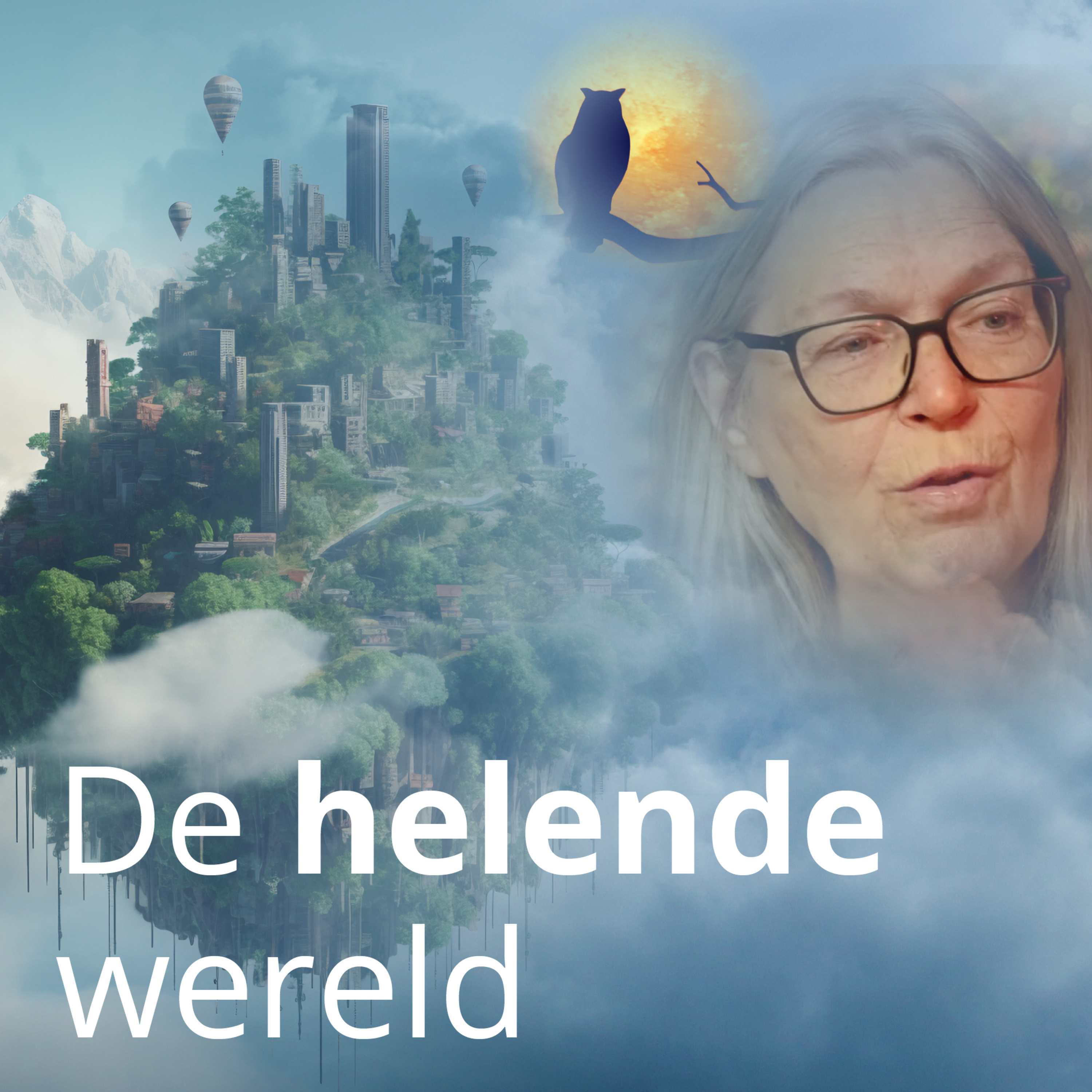De helende wereld episode artwork