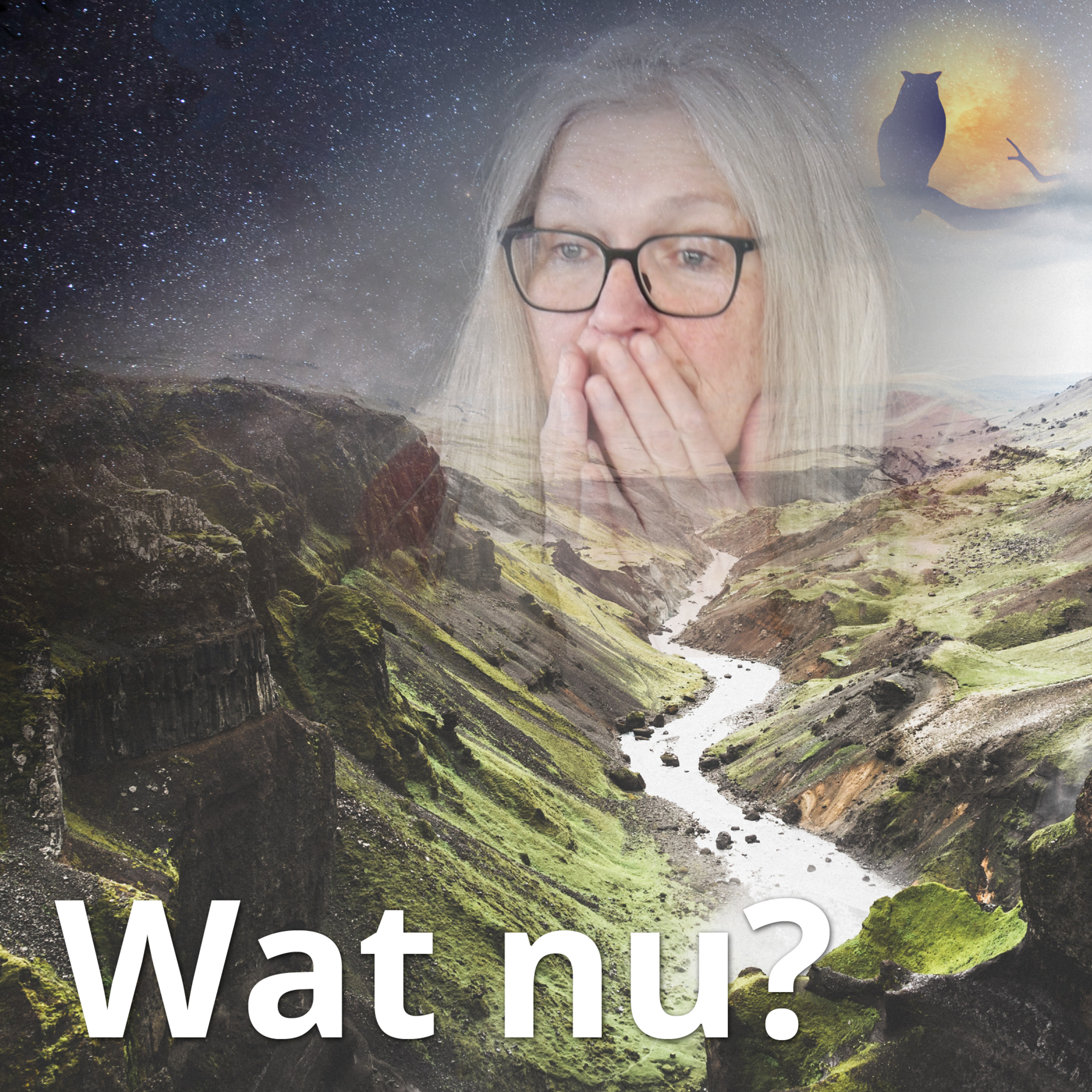 Wat nu? episode artwork