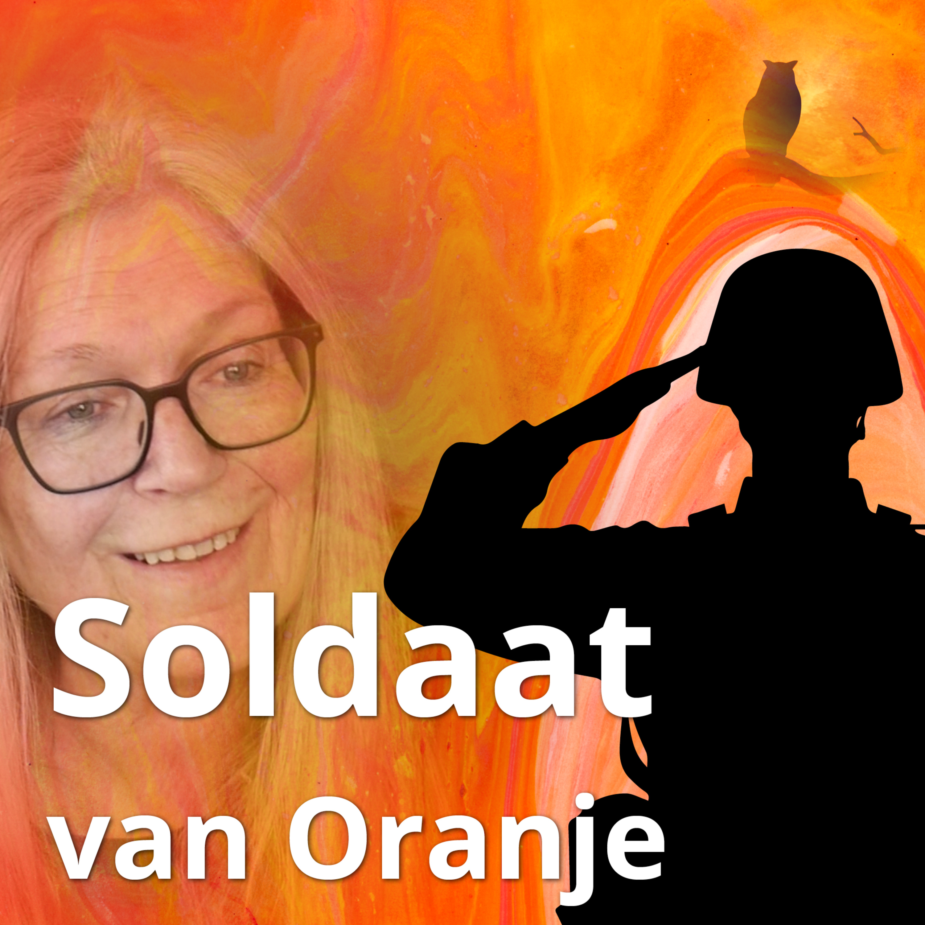 Soldaat van Oranje episode artwork