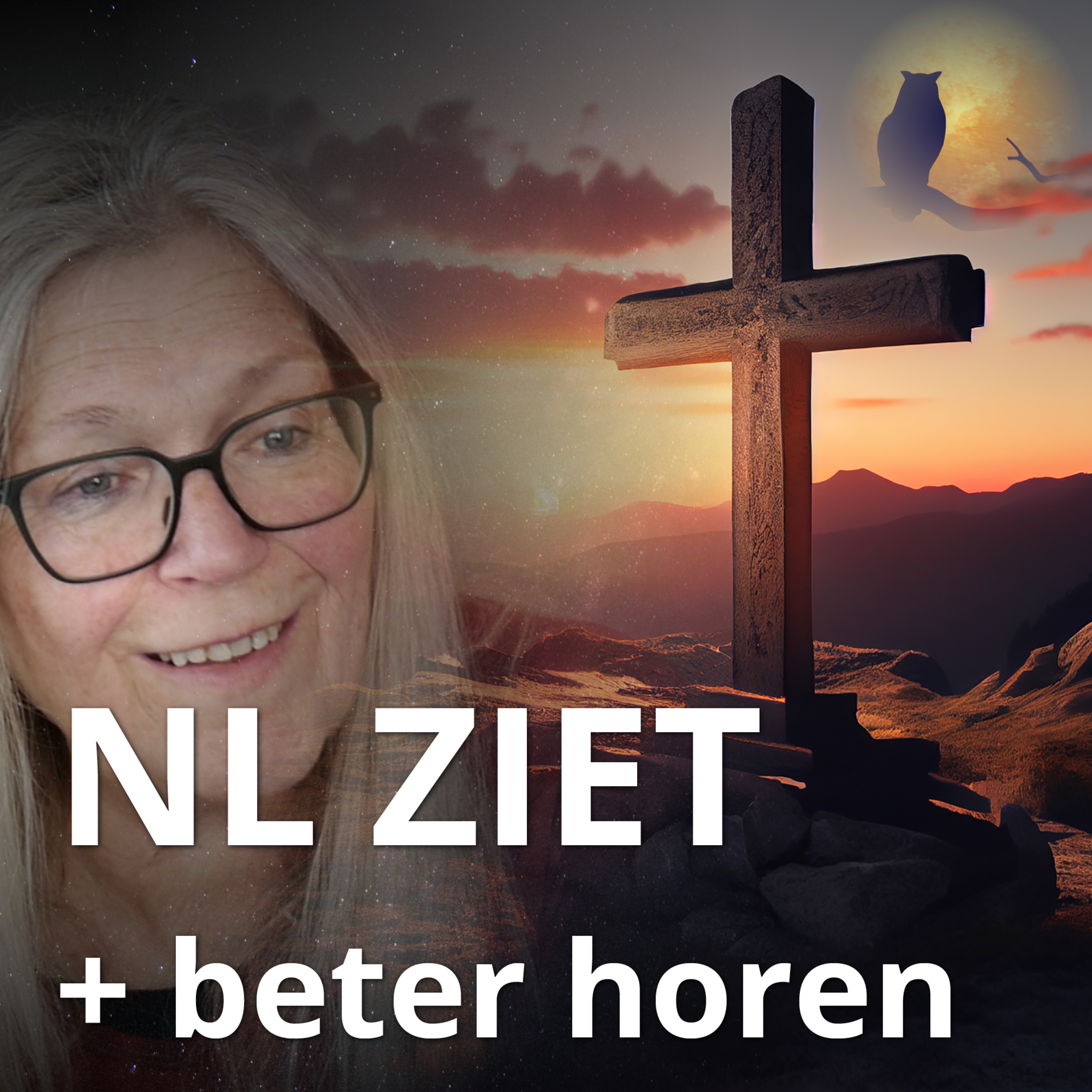 NL ZIET + BETER HOREN episode artwork