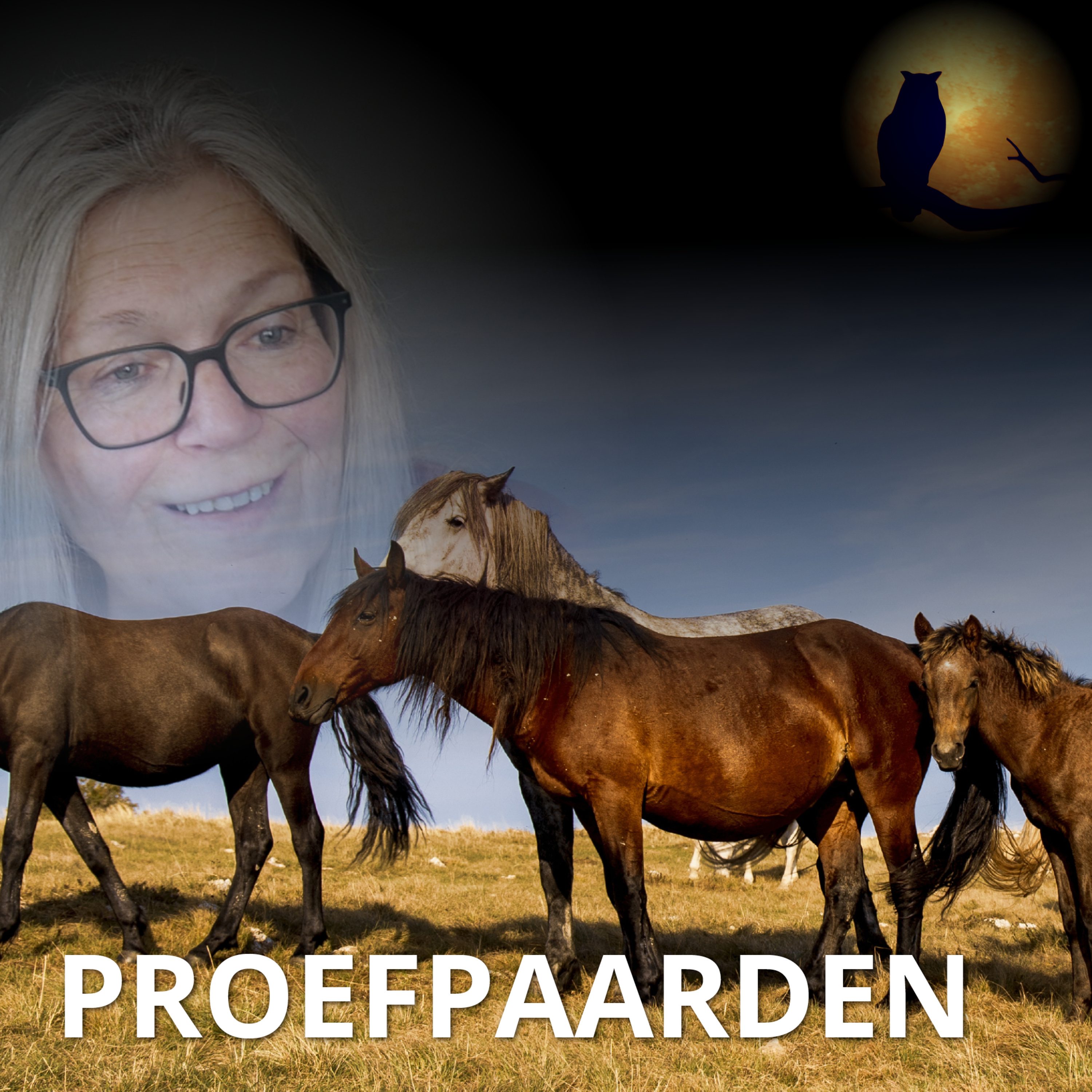Proefpaarden episode artwork