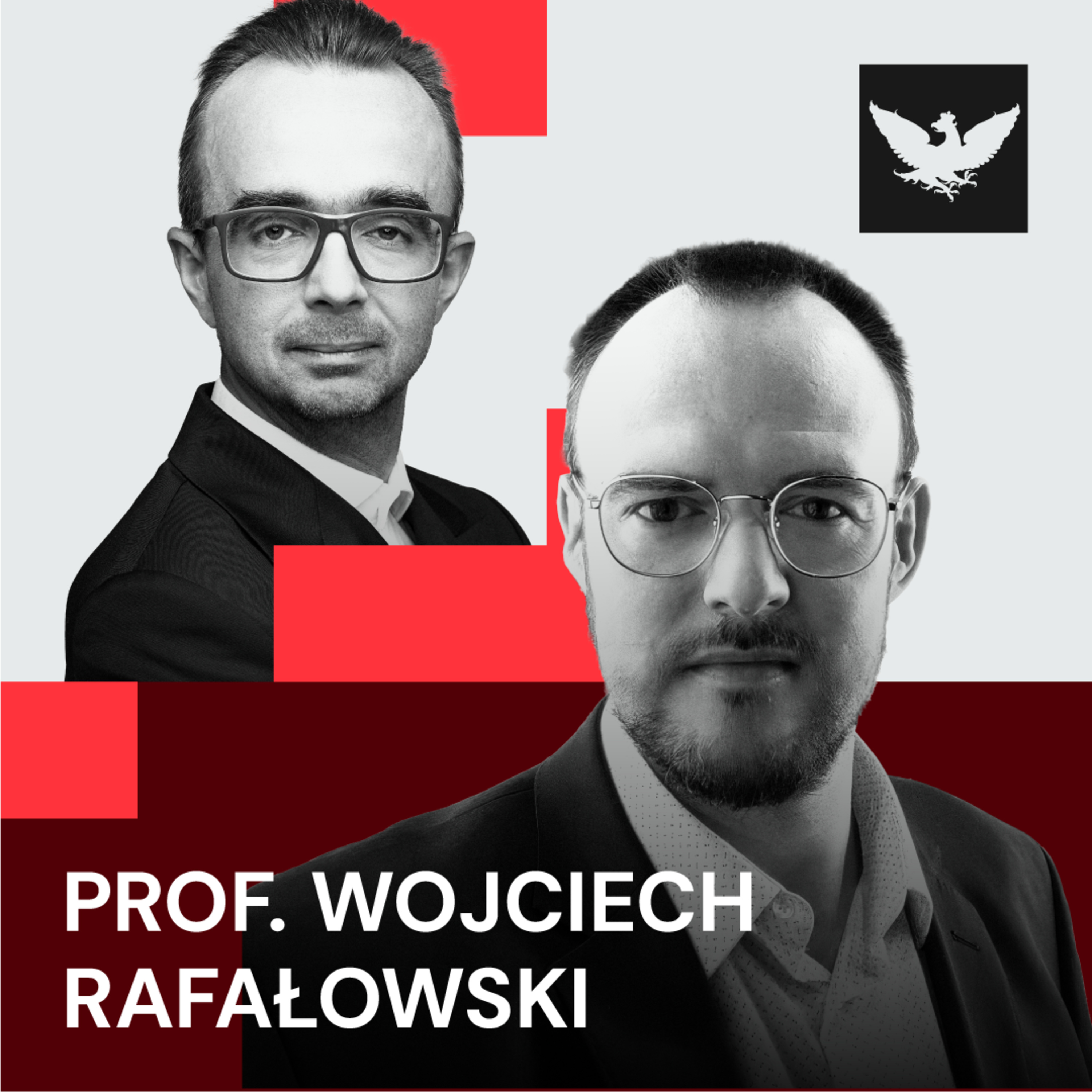 Dobre wyniki Grzegorza Brauna korzystne dla KO? Prof. Wojciech Rafałowski: Donald Tusk się cieszy