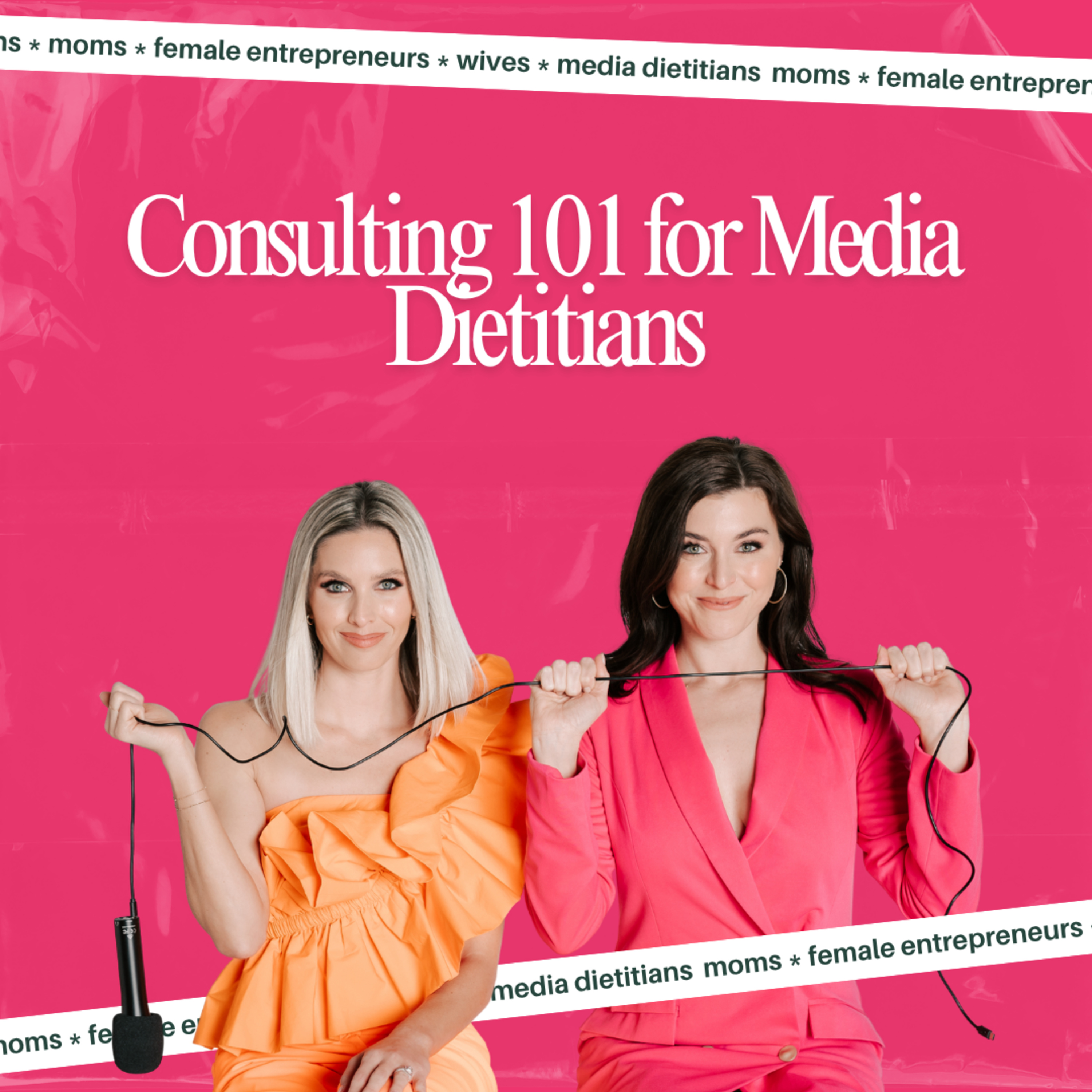 Consulting 101 for Media Dietitians episode artwork