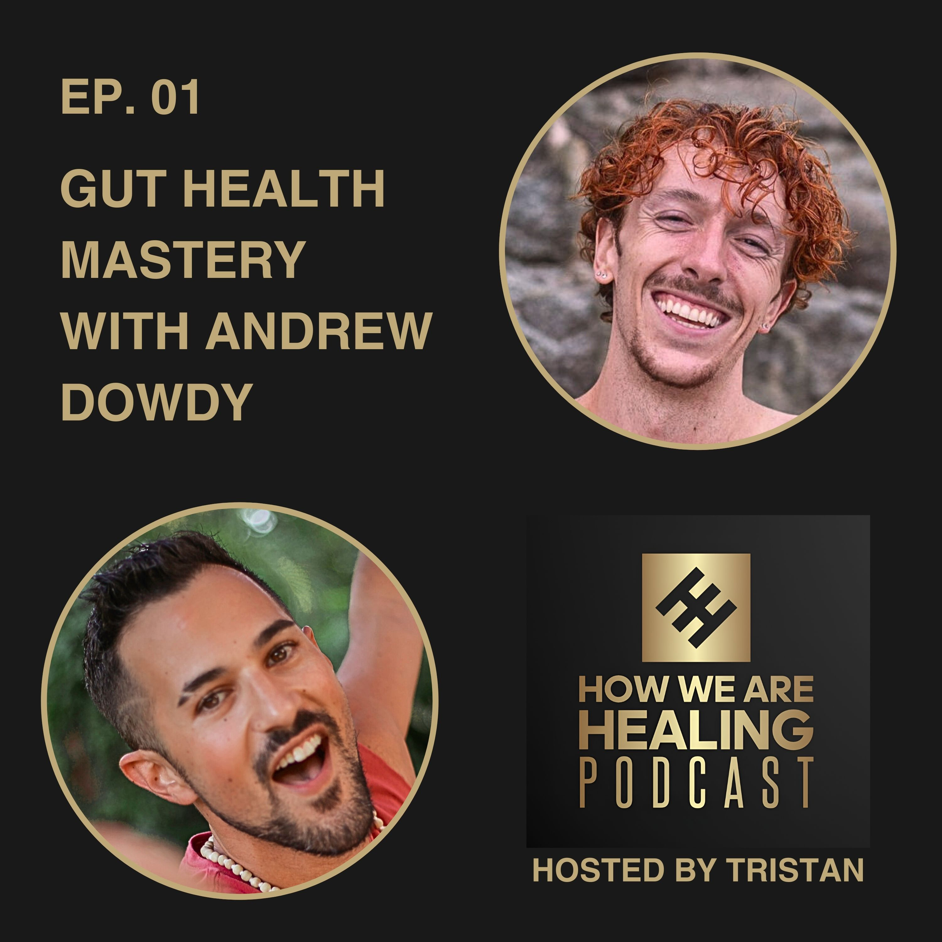 How We Are Healing