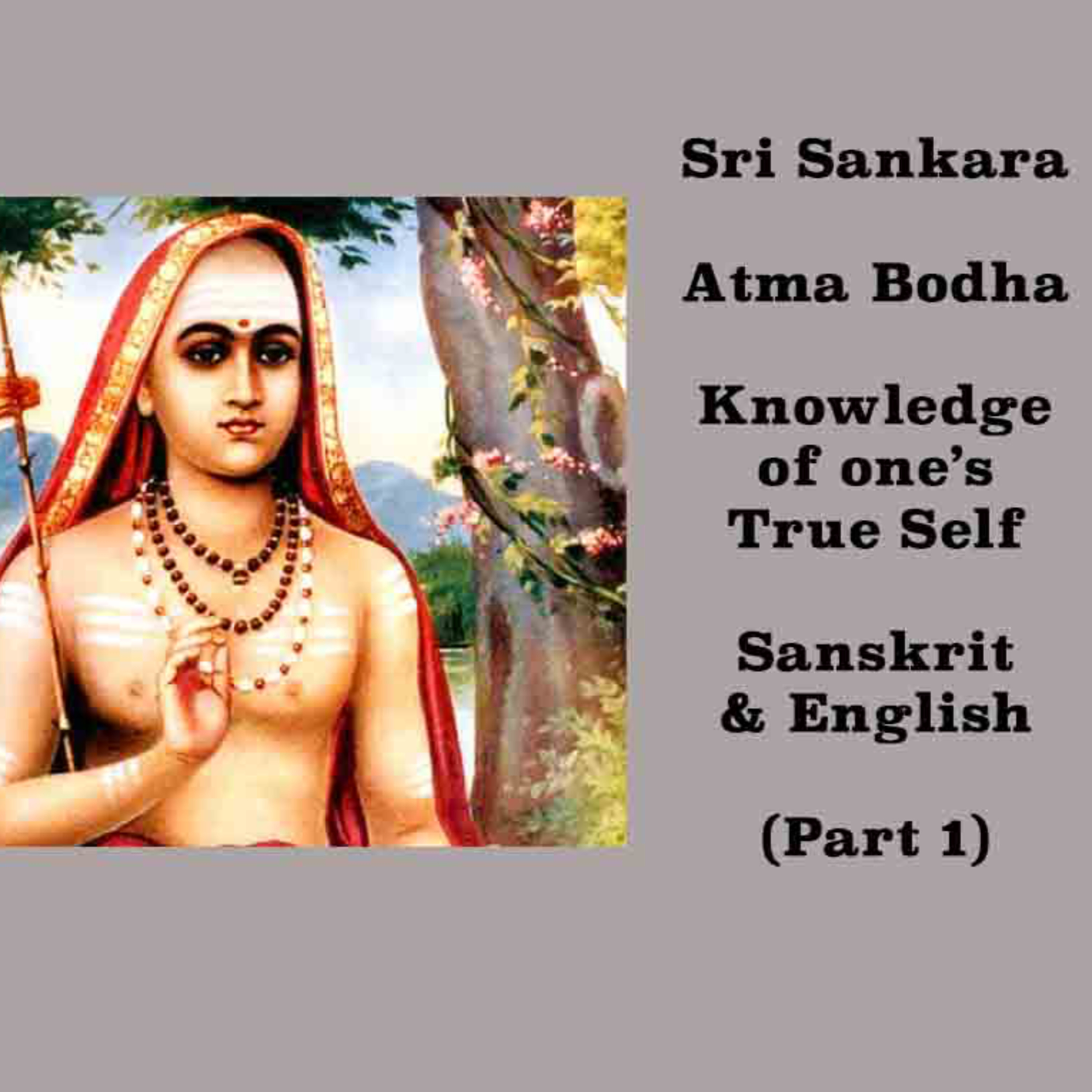 Adi Sankara ~ Atma Bodha ~ Knowledge of one's True Self ~ (Part 1) ~ Sanskrit and English ~ Narrated episode artwork
