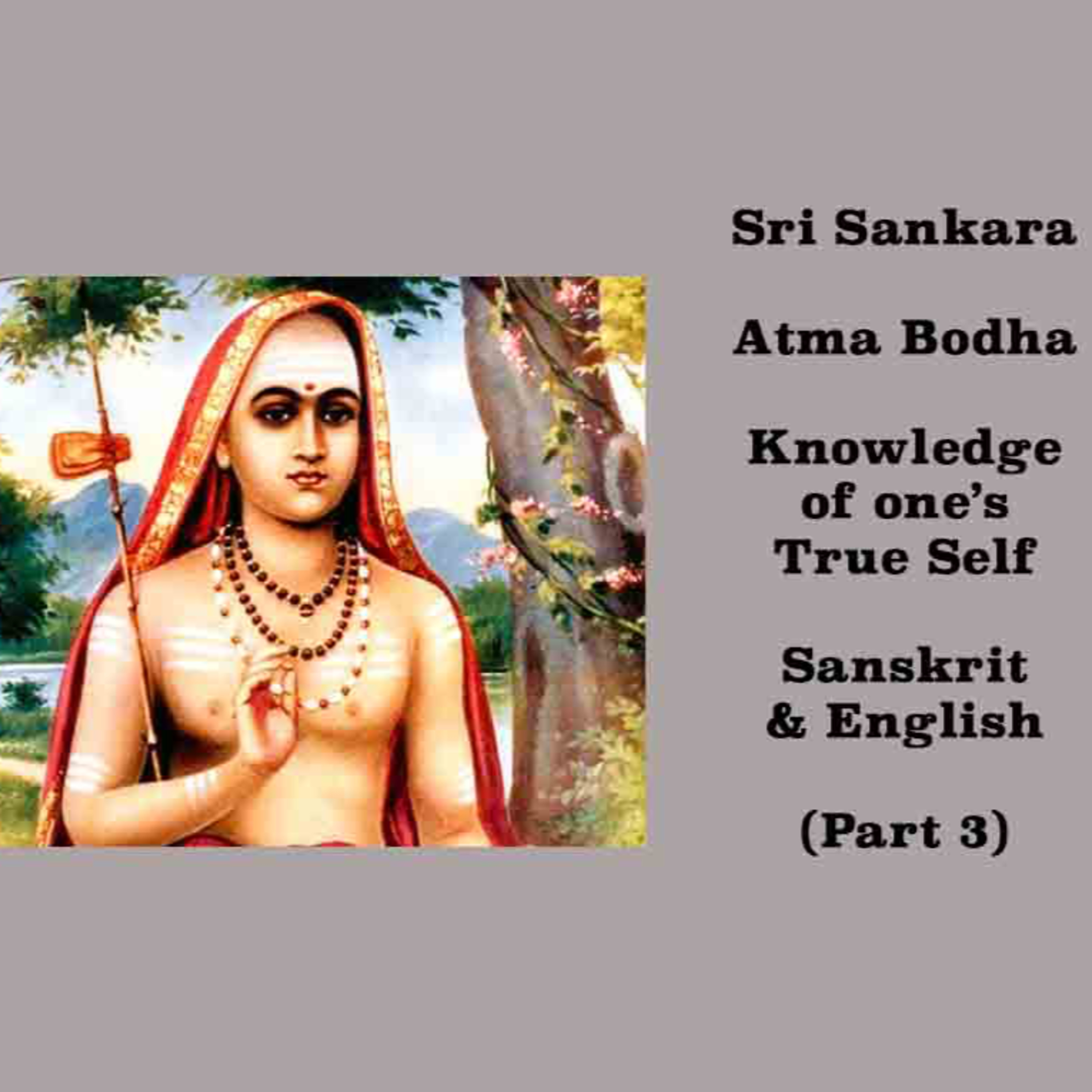 Adi Sankara ~ Atma Bodha ~ Knowledge of one's True Self ~ (Part 3) ~ Sanskrit and English ~ Narrated episode artwork