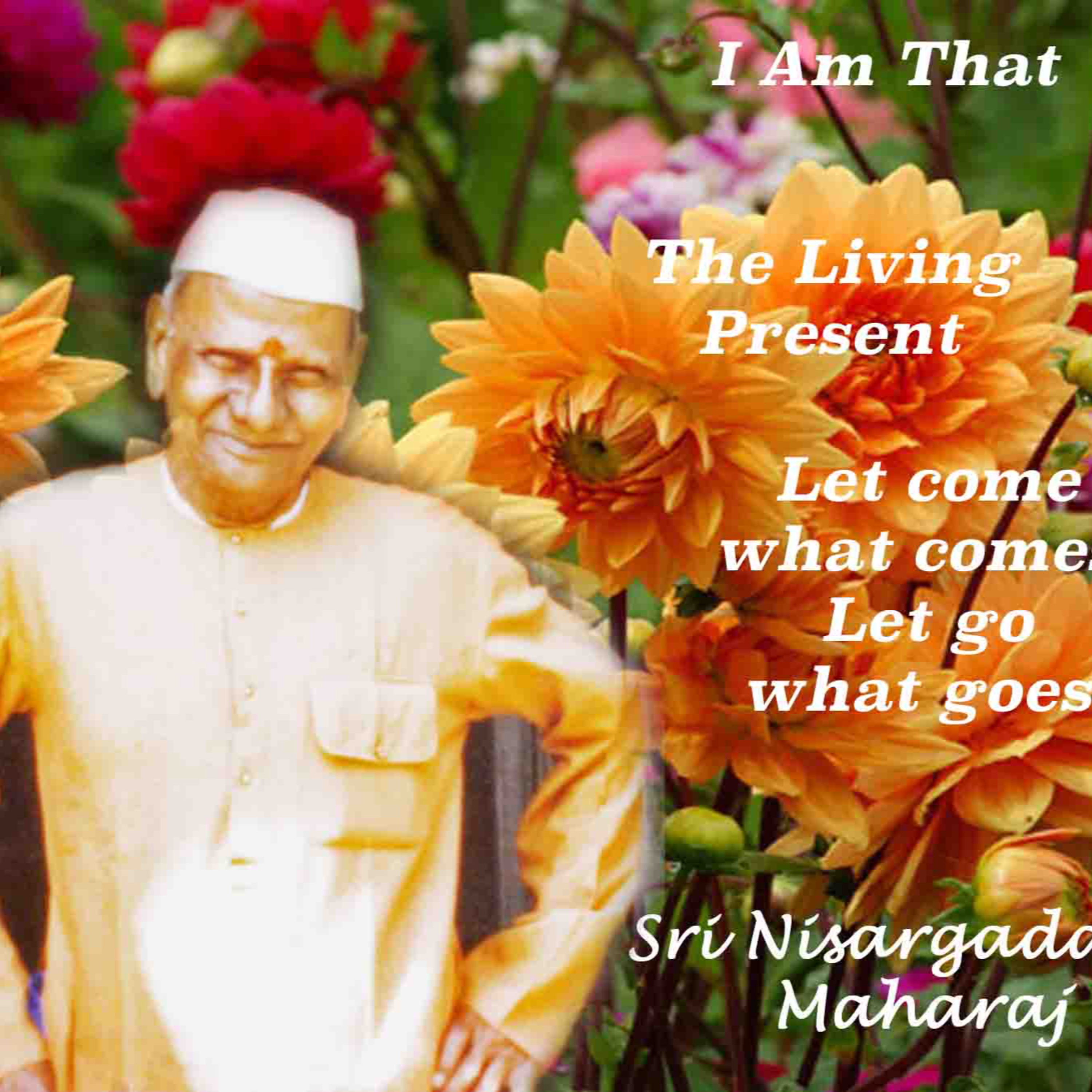 Nisargadatta Maharaj ~ I Am That ~ Item 3. The Living Present - Part 1 (Let Things Come & Go) episode artwork