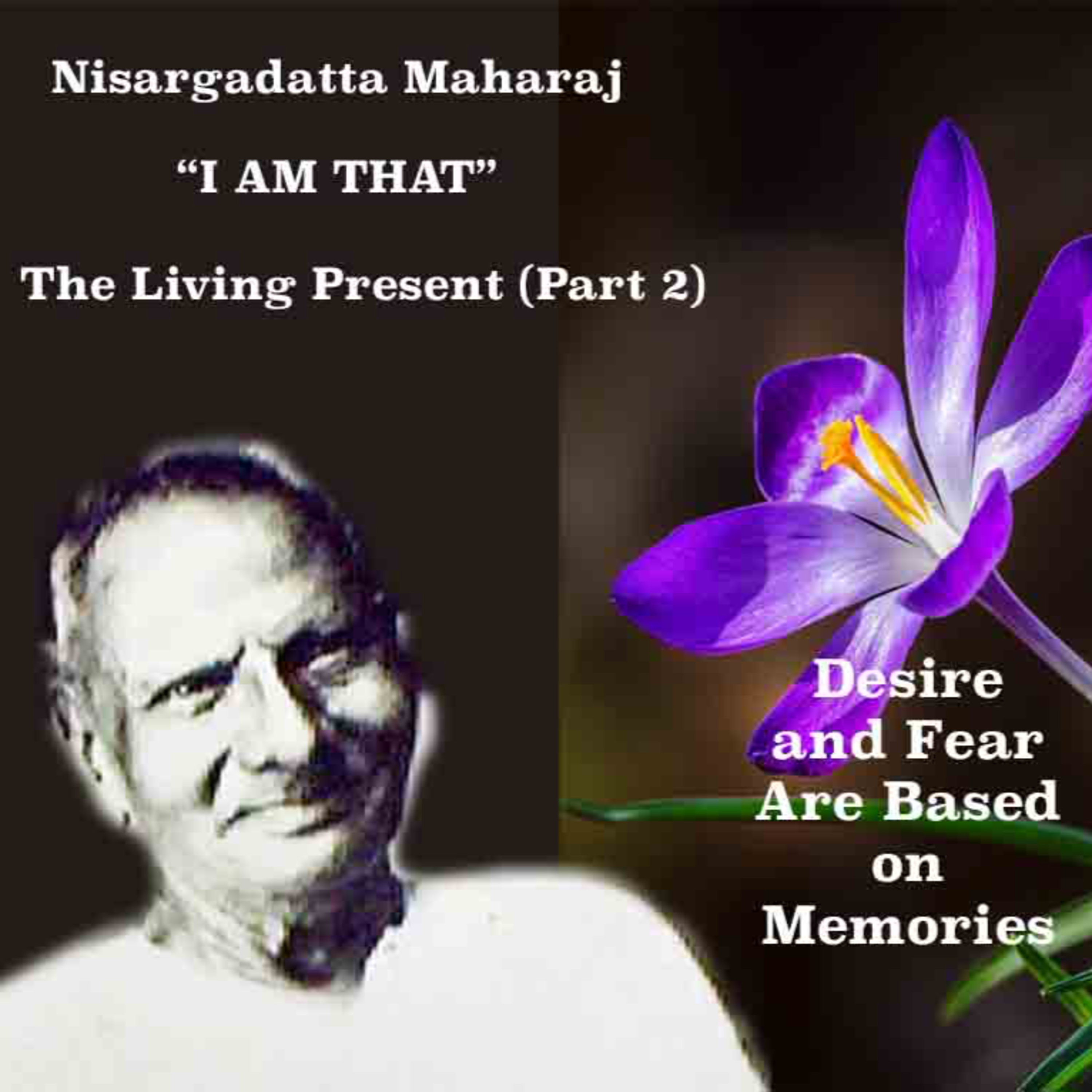 Nisargadatta Maharaj ~ I Am That ~ Item 3. The Living Present - Part 2 (Desire & Fear Are Memories) episode artwork
