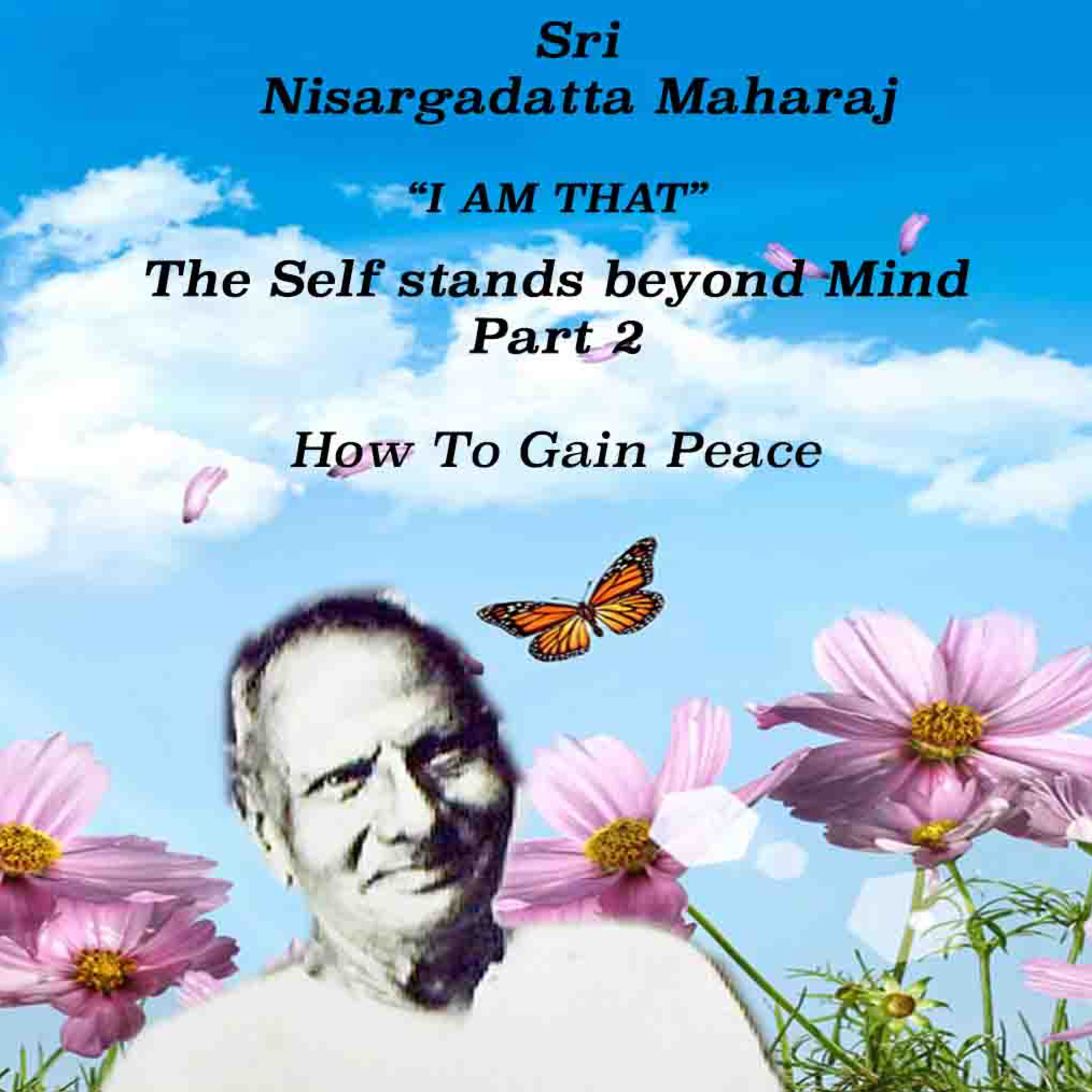 Nisargadatta Maharaj ~ I Am That ~ Item 8. Part 2. The Self Stands Beyond Mind (How to gain Peace) episode artwork