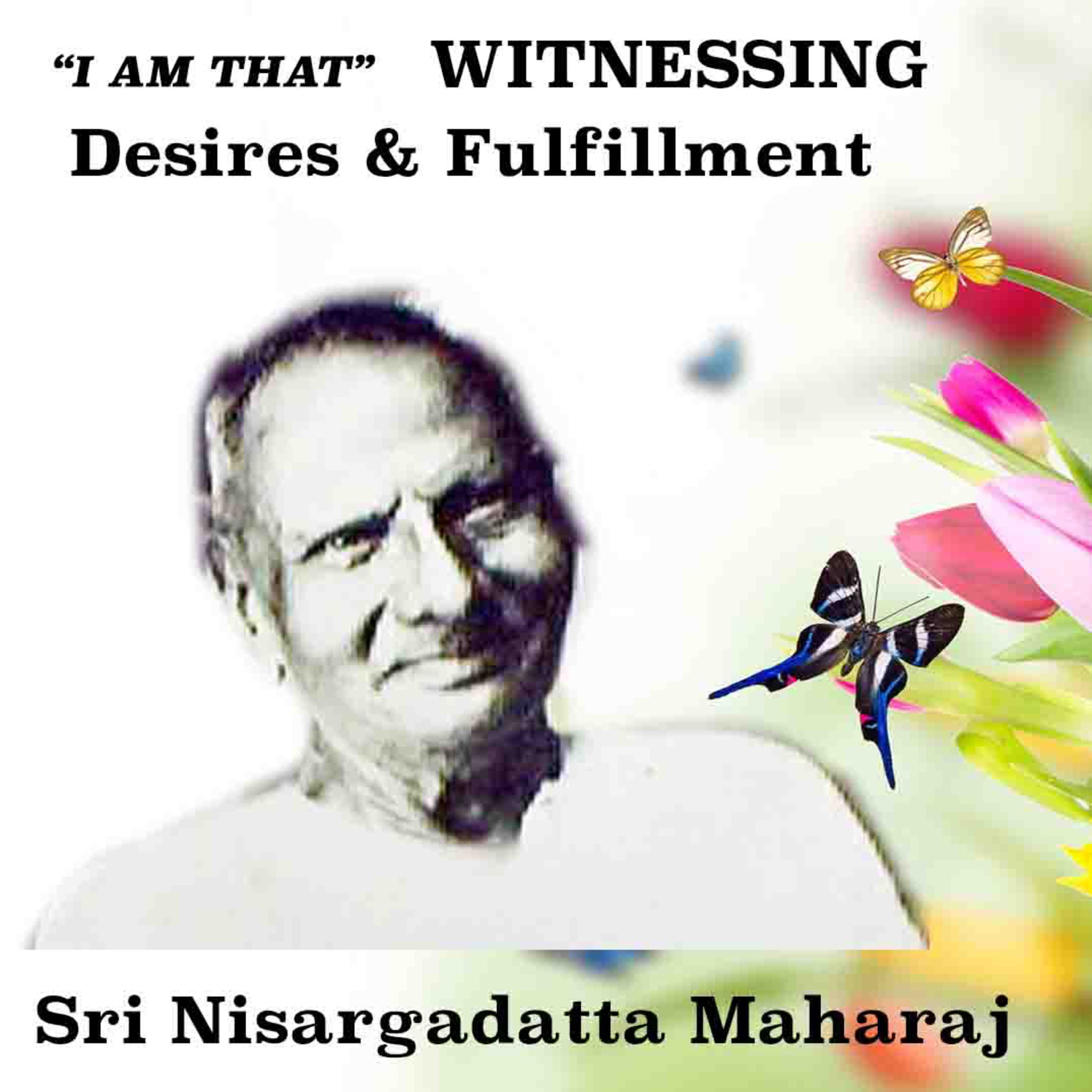 Nisargadatta Maharaj ~ I Am That ~ Item 10. Witnessing (Desires & Fulfillment, Sorrow & Happiness) episode artwork