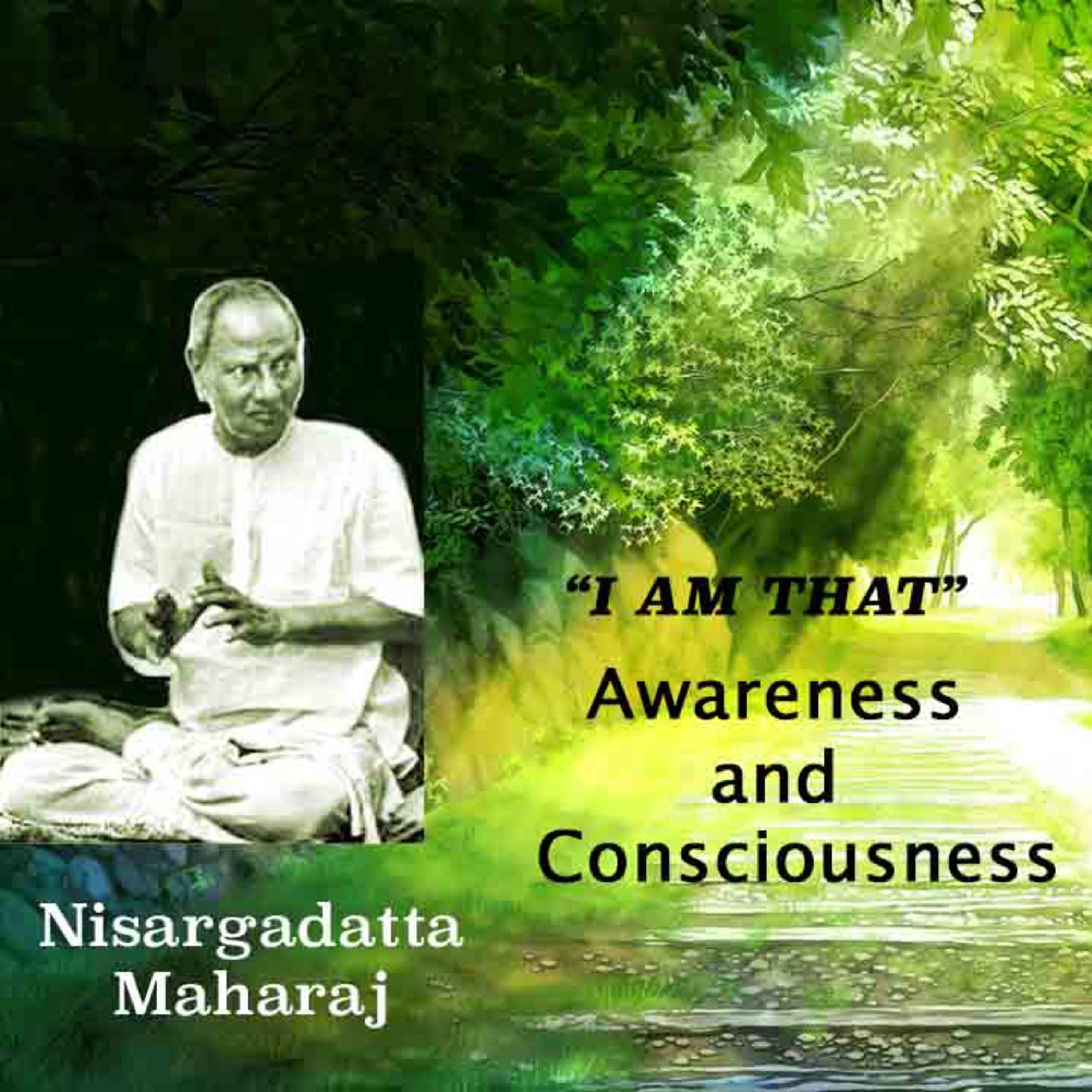 Nisargadatta Maharaj ~ I Am That ~ Item 11. Awareness And Consciousness Nisargadatta Maharaj (Eternal And Relative) episode artwork
