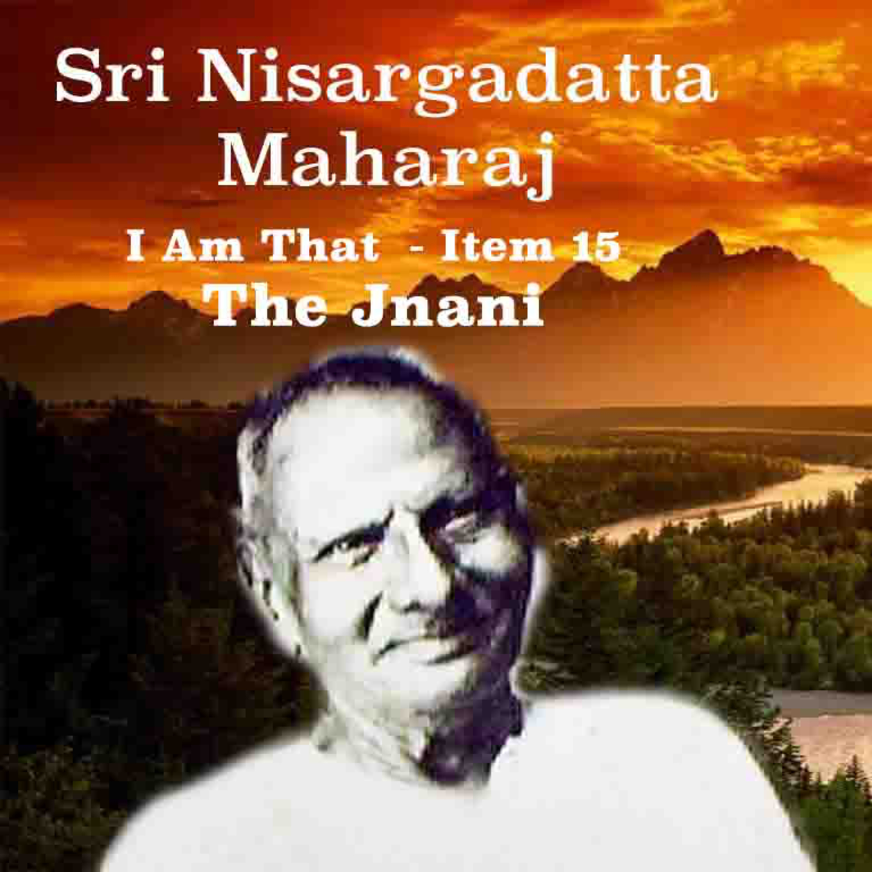 Nisargadatta Maharaj ~ I Am That ~ Item 15. The Jnani (Who Knows The Real Self) ~ Descr Has Details episode artwork