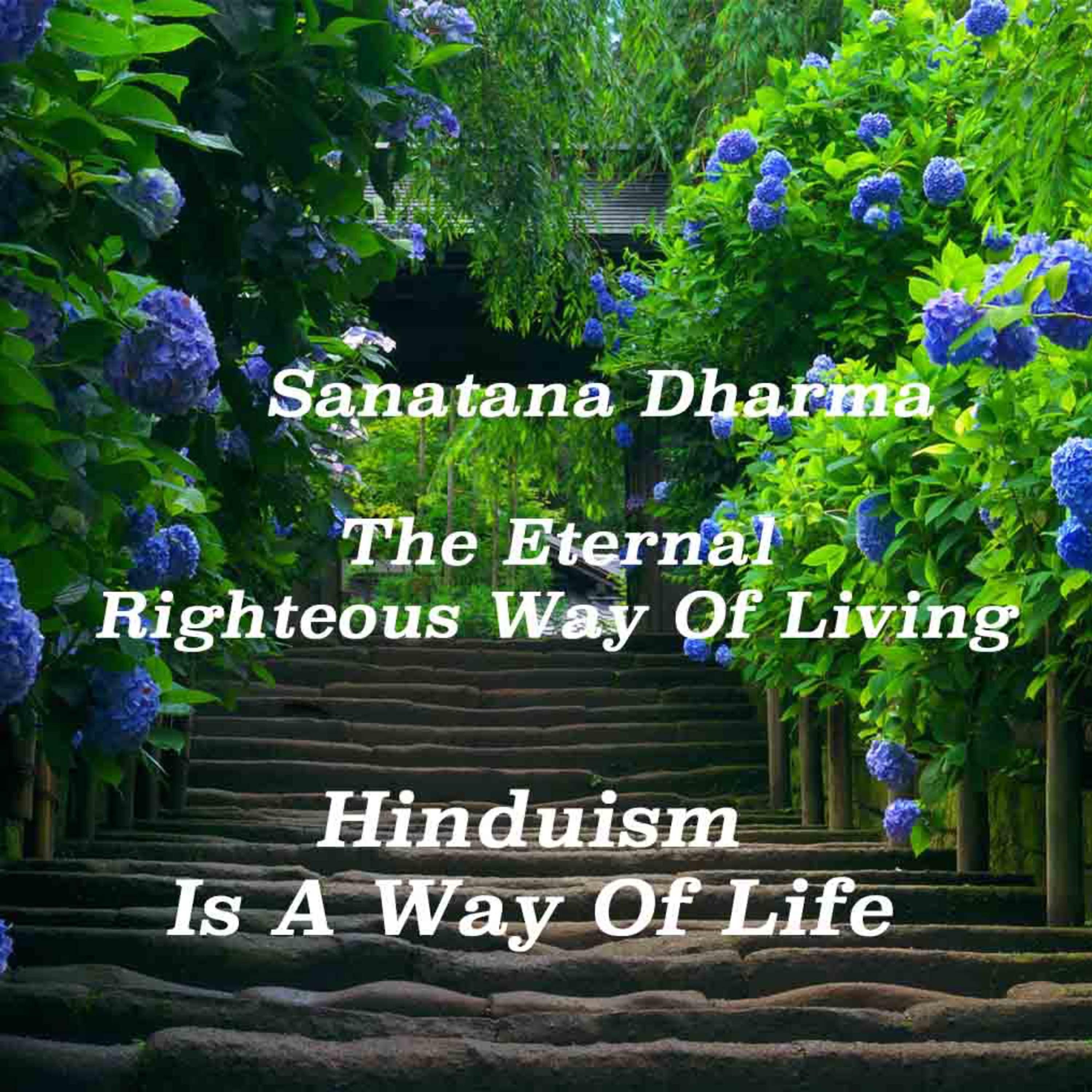 Hinduism Is A Way Of Life, Not A Religion. It is Sanatana Dharma~The Eternal Righteous Way of Living episode artwork