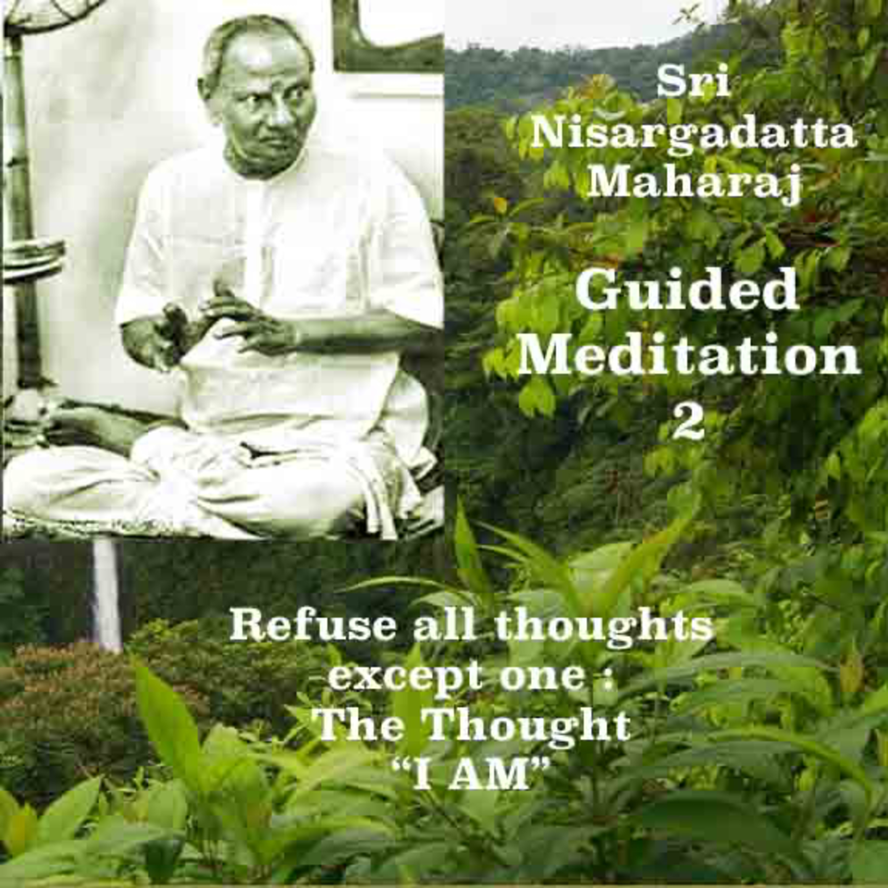 Nisargadatta Maharaj Guided Meditation (2)~How To Refuse Pestering Thoughts & Be Peaceful ~ No Music episode artwork