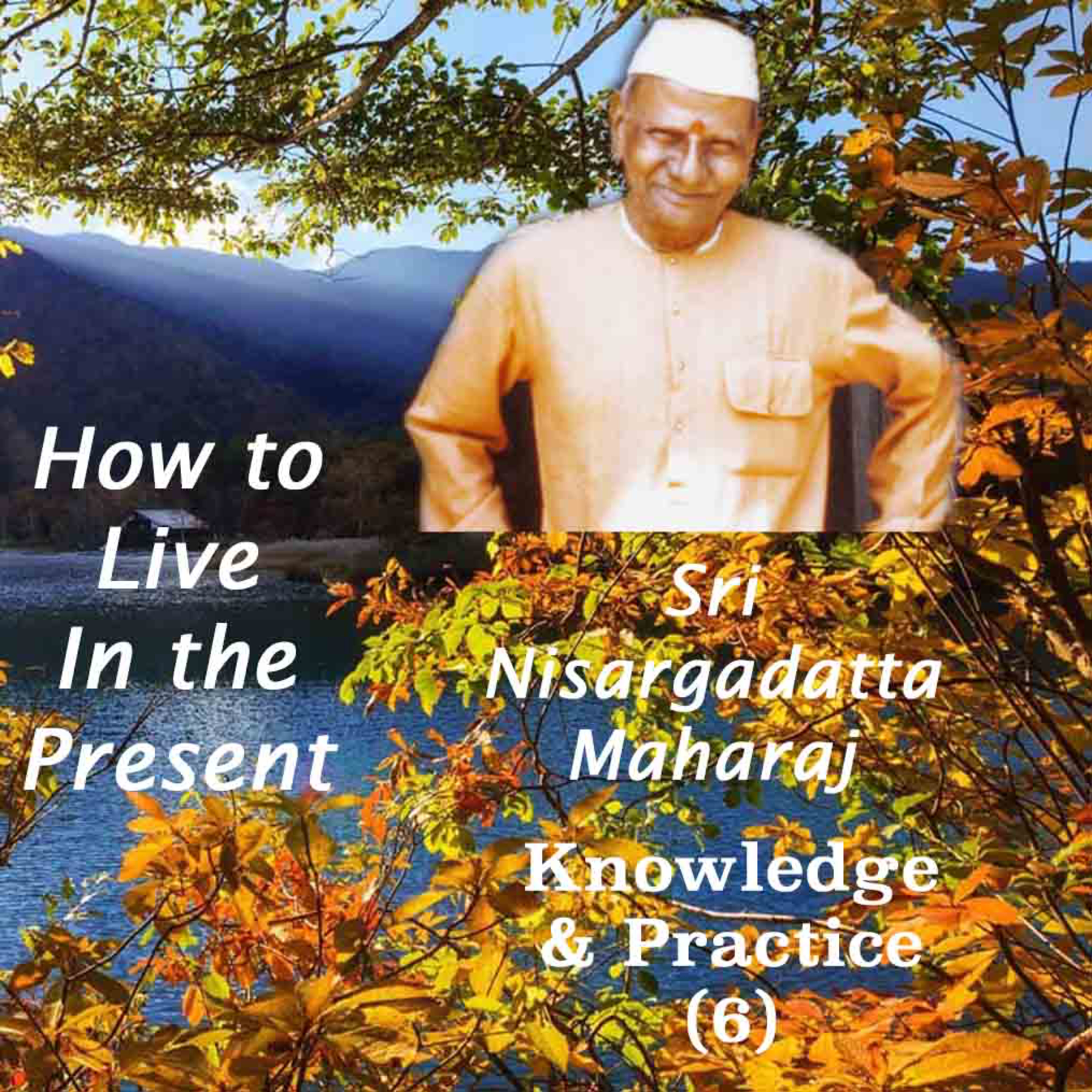 Nisargadatta Maharaj~Knowledge & Practice(6)~How To Live In The Present, To Accept & Flow With Life? episode artwork