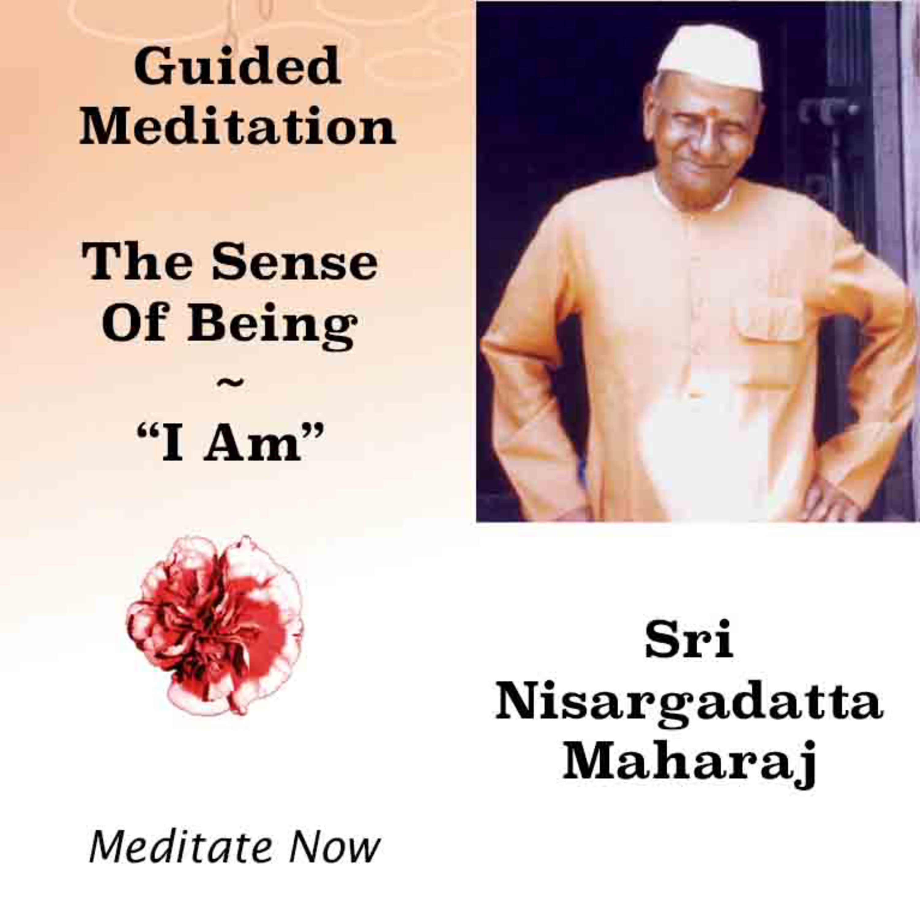 Nisargadatta Maharaj Guided Meditation (3) ~ The Sense Of Being "I Am" - Be With It. (No Music) episode artwork