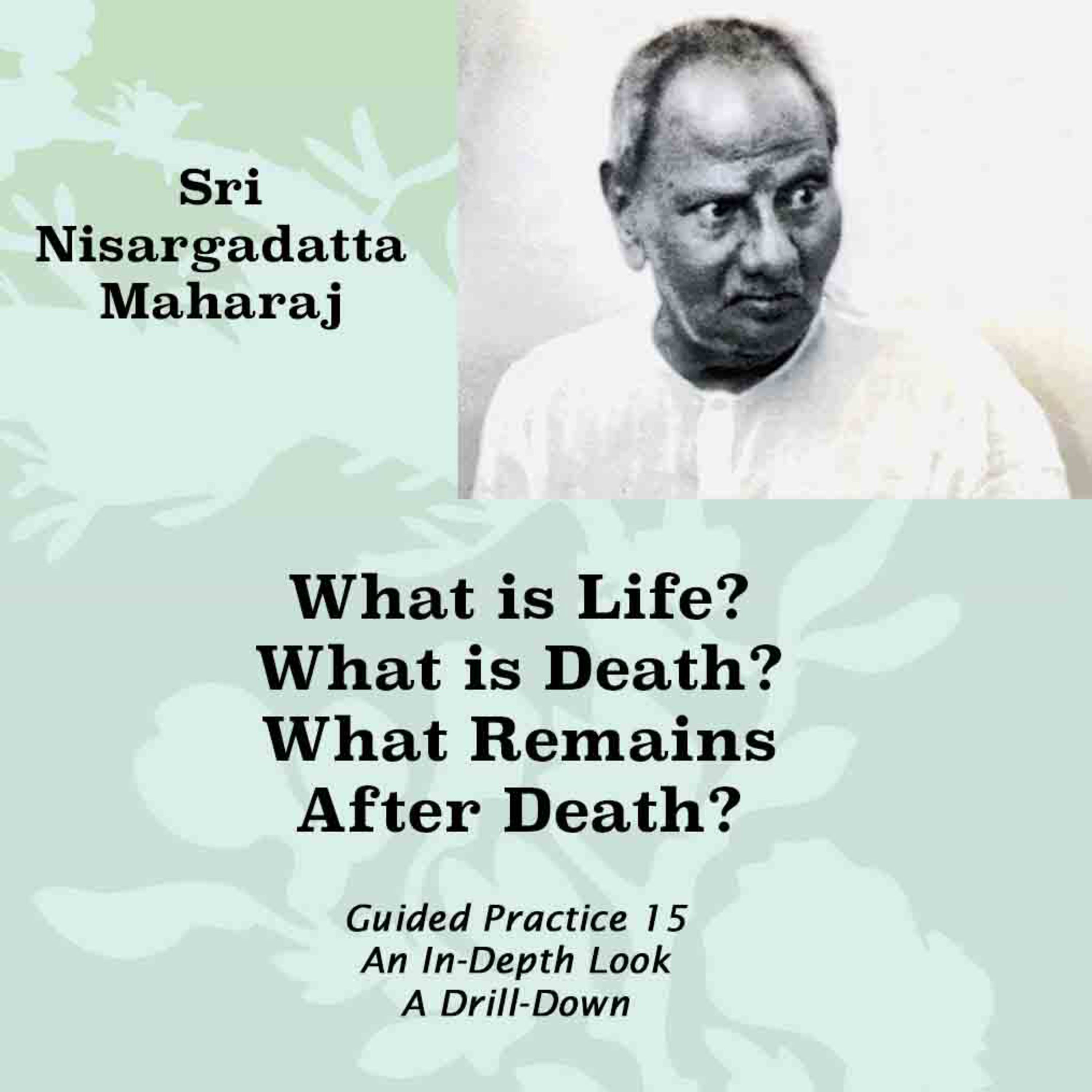 Nisargadatta Maharaj Knowledge & Practice (15) What is Life And Death? What Remains After Death? episode artwork