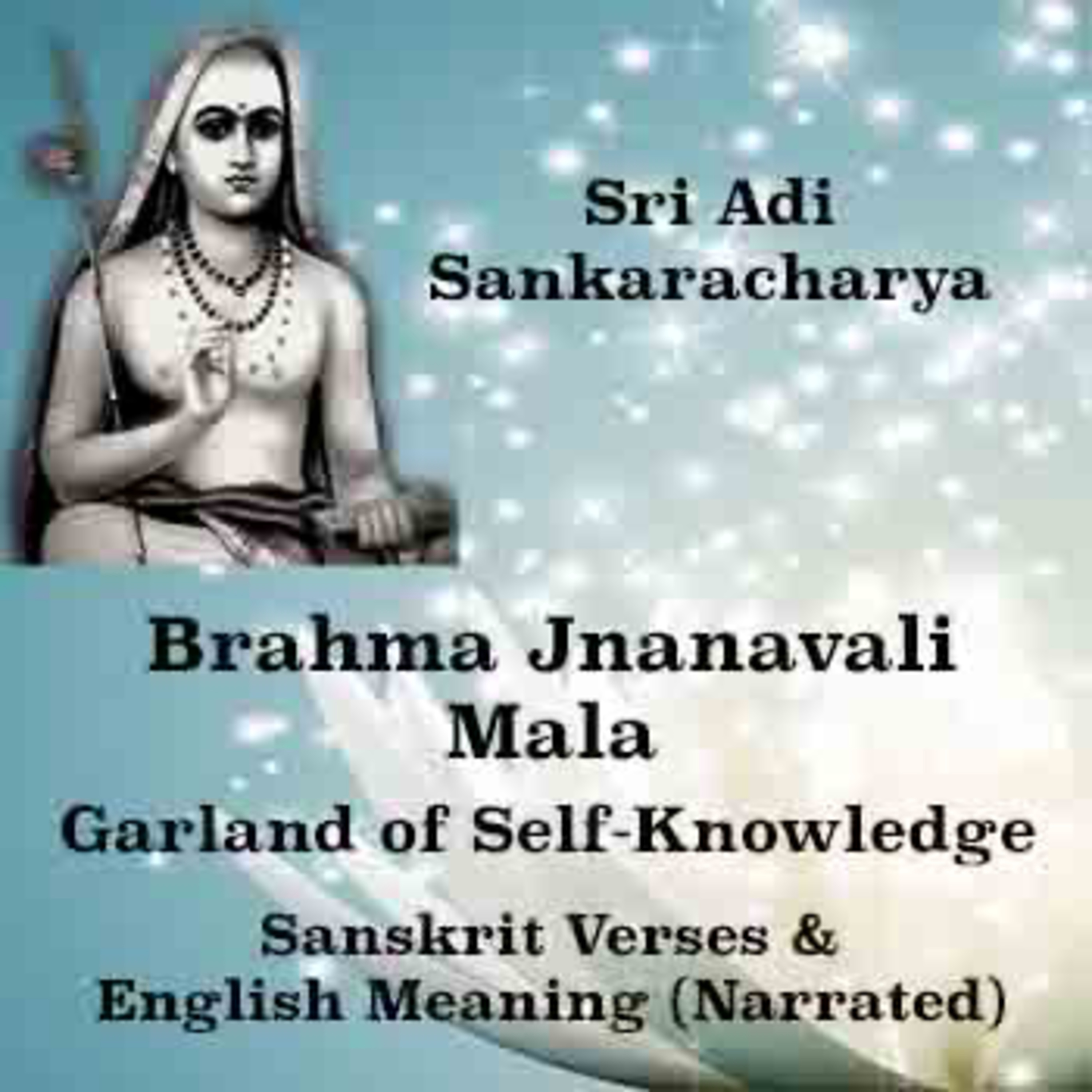 Sri Adi Sankaracharya | Brahma Jnanavali Mala | Sanskrit Verses & English Meaning | Narrated episode artwork