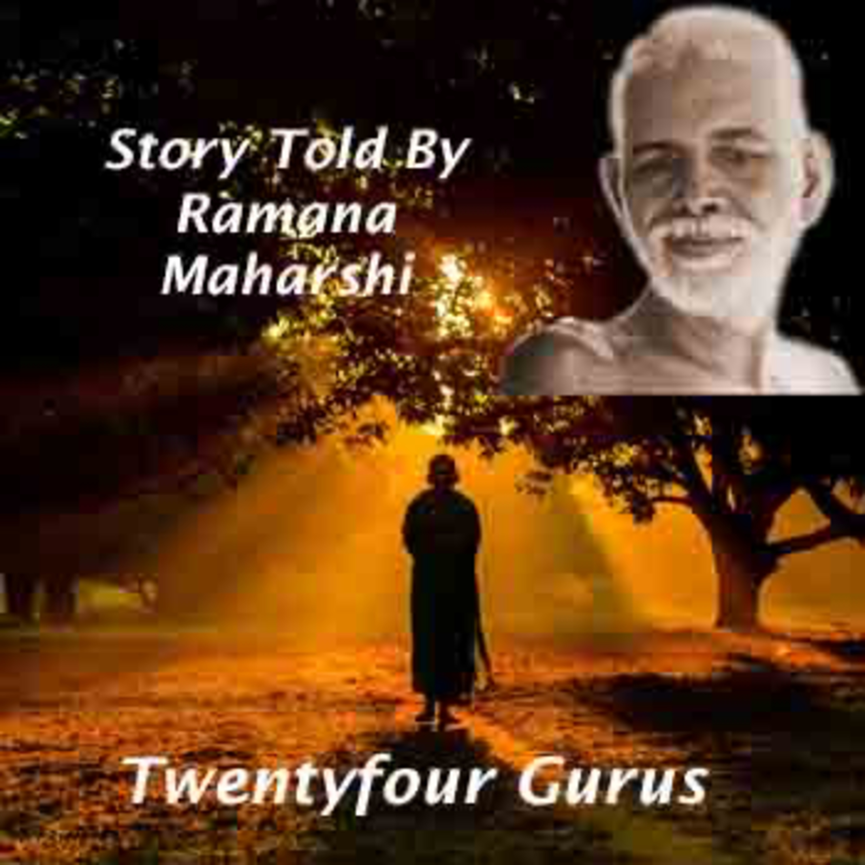 Ramana Maharshi Explains : “Twentyfour Gurus" ~ Who Are They? How Do They Help Us In Life? This Is Explained Through A Story. episode artwork